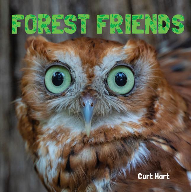 Vorderes Coverbild Forest Friends