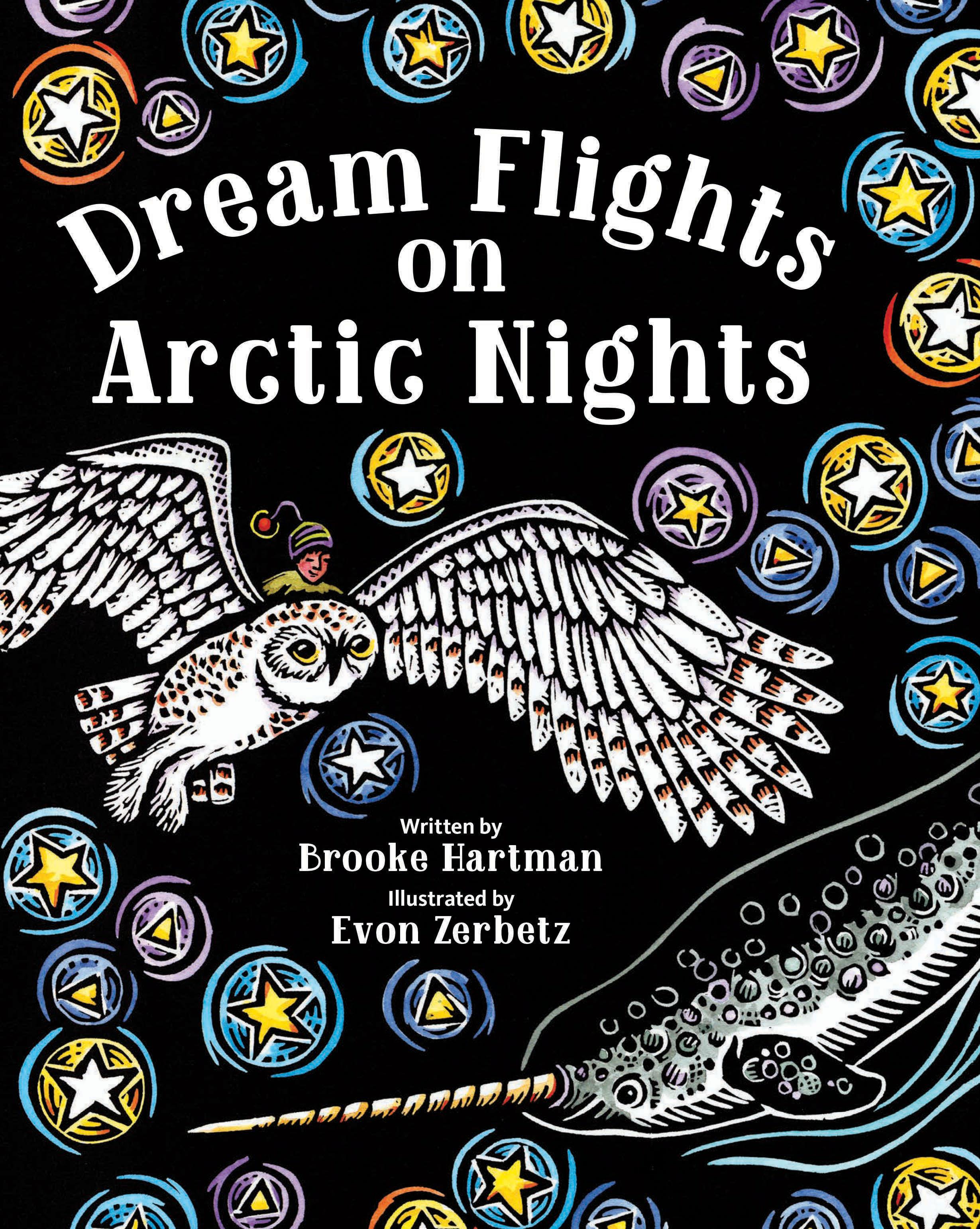 Beispielinhalt (Bild) Dream Flights on Arctic Nights