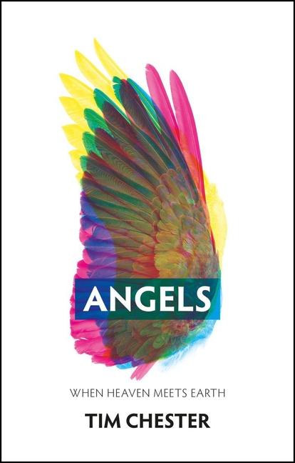 Vorderes Coverbild Angels