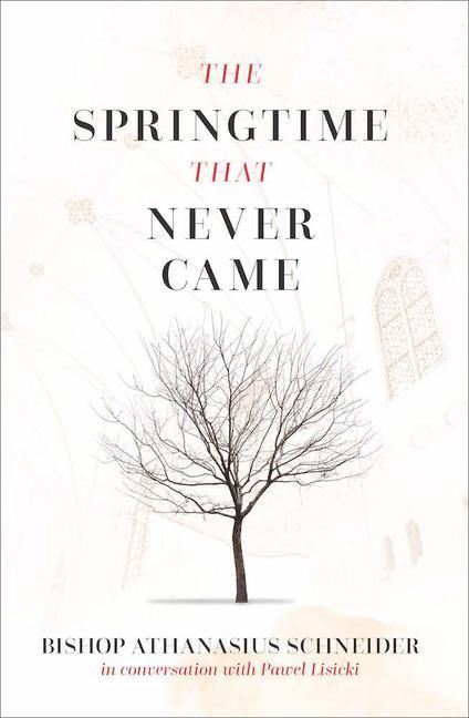 Vorderes Coverbild The Springtime That Never Came