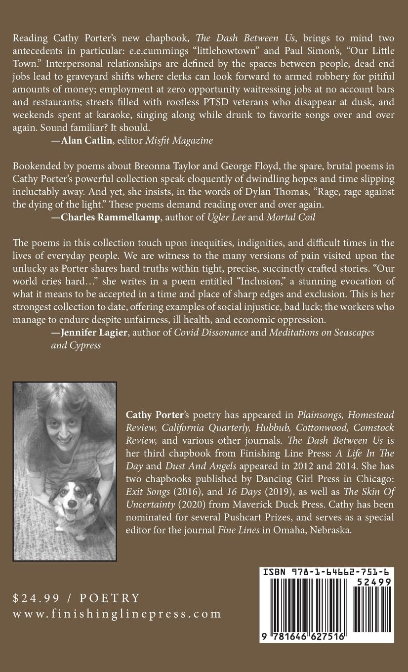 Rückseitencover The Dash Between Us