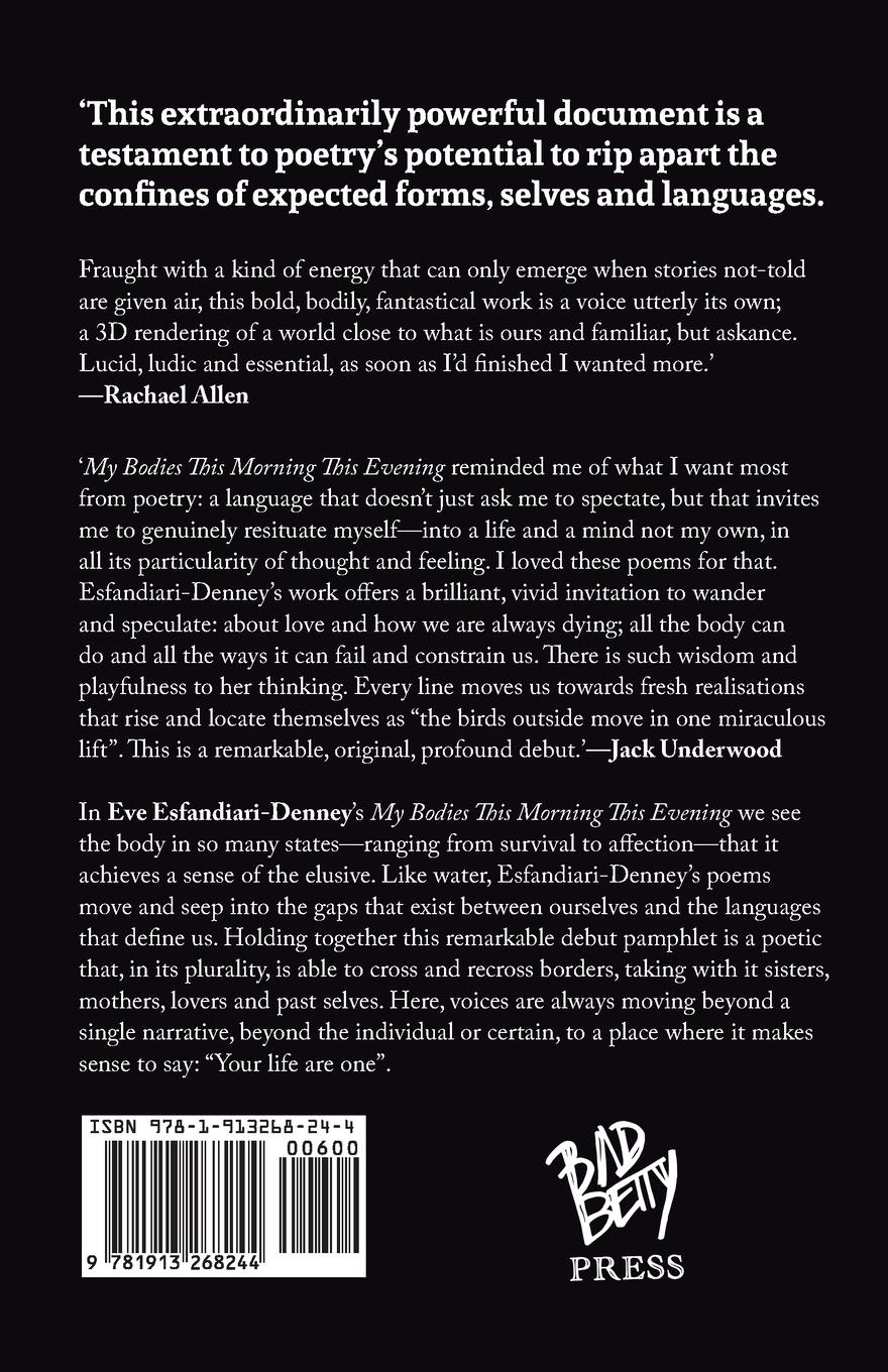 Rückseitencover My Bodies This Morning This Evening