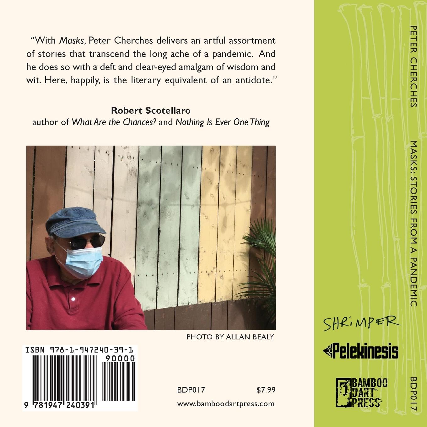 Rückseitencover Masks