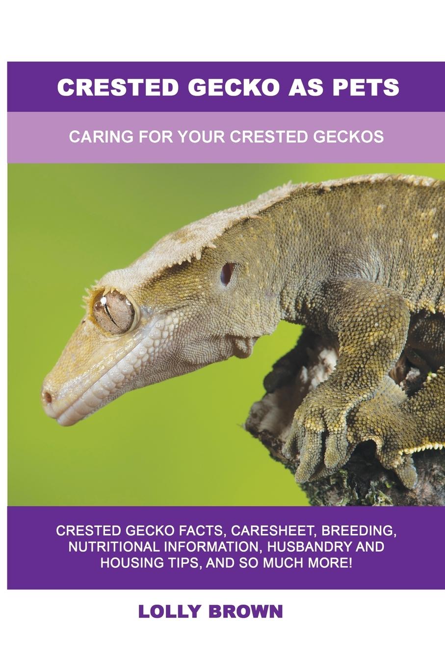Vorderes Coverbild Crested Gecko as Pets: Caring For Your Crested Geckos