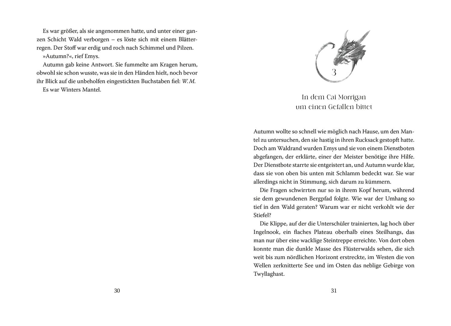 Beispielinhalt (Bild) Die Schule am wilden Drachenwald