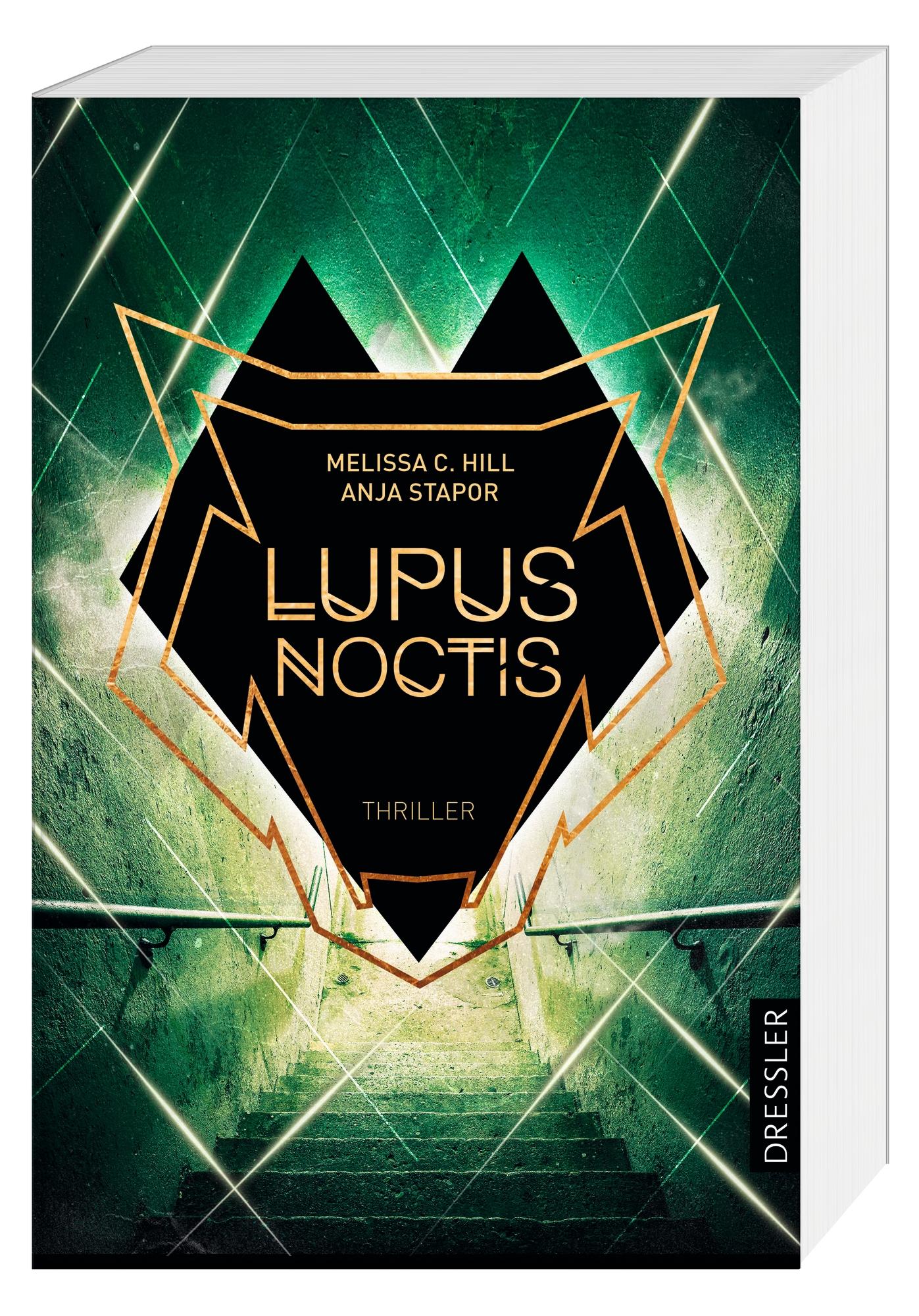 Beispielinhalt (Bild) Lupus Noctis