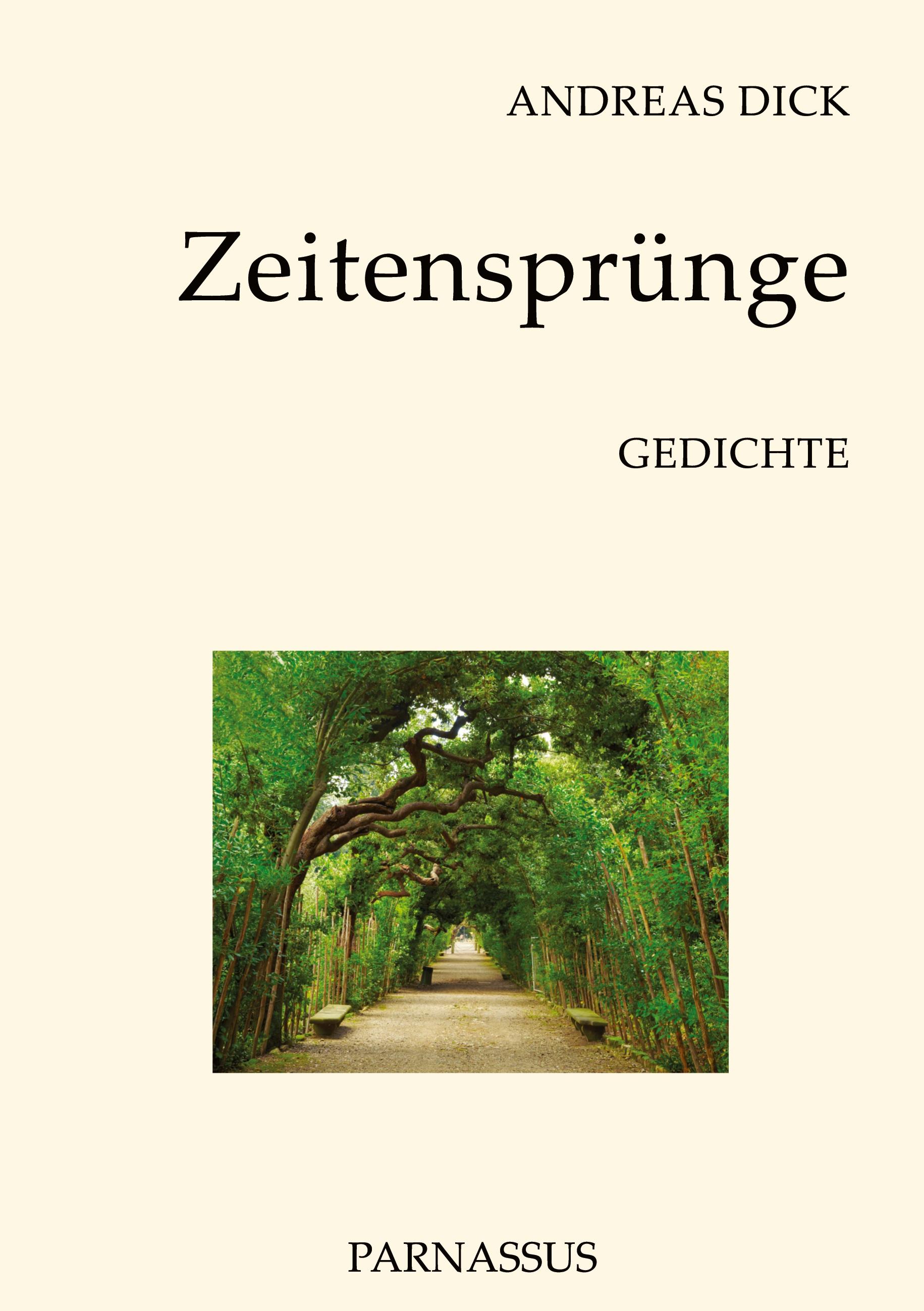 Vorderes Coverbild Zeitensprünge