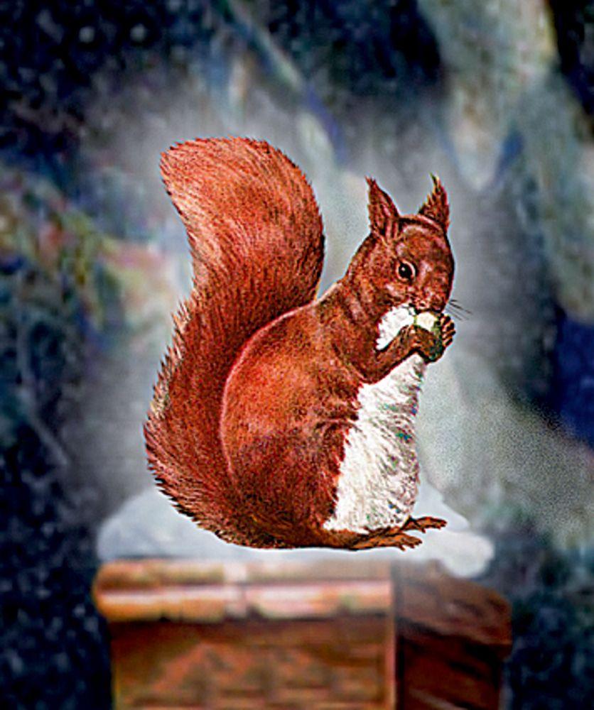 Beispielinhalt (Bild) A4-Wandkalender Weihnachten im Dorf