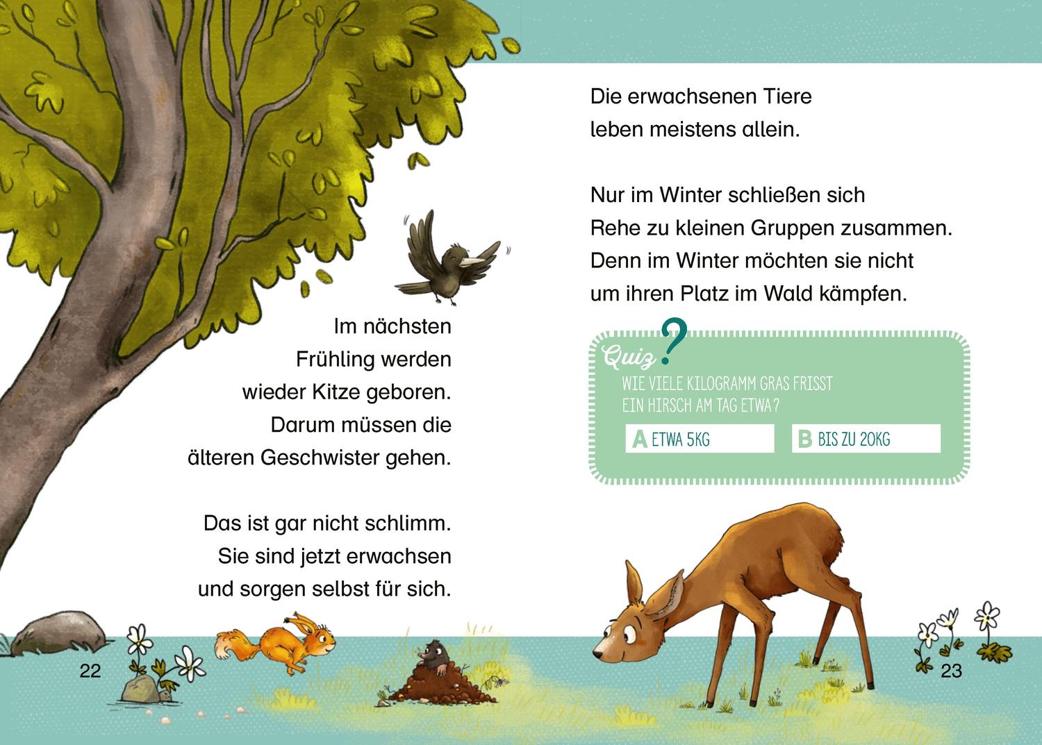 Beispielinhalt (Bild) Tierkinder im Wald
