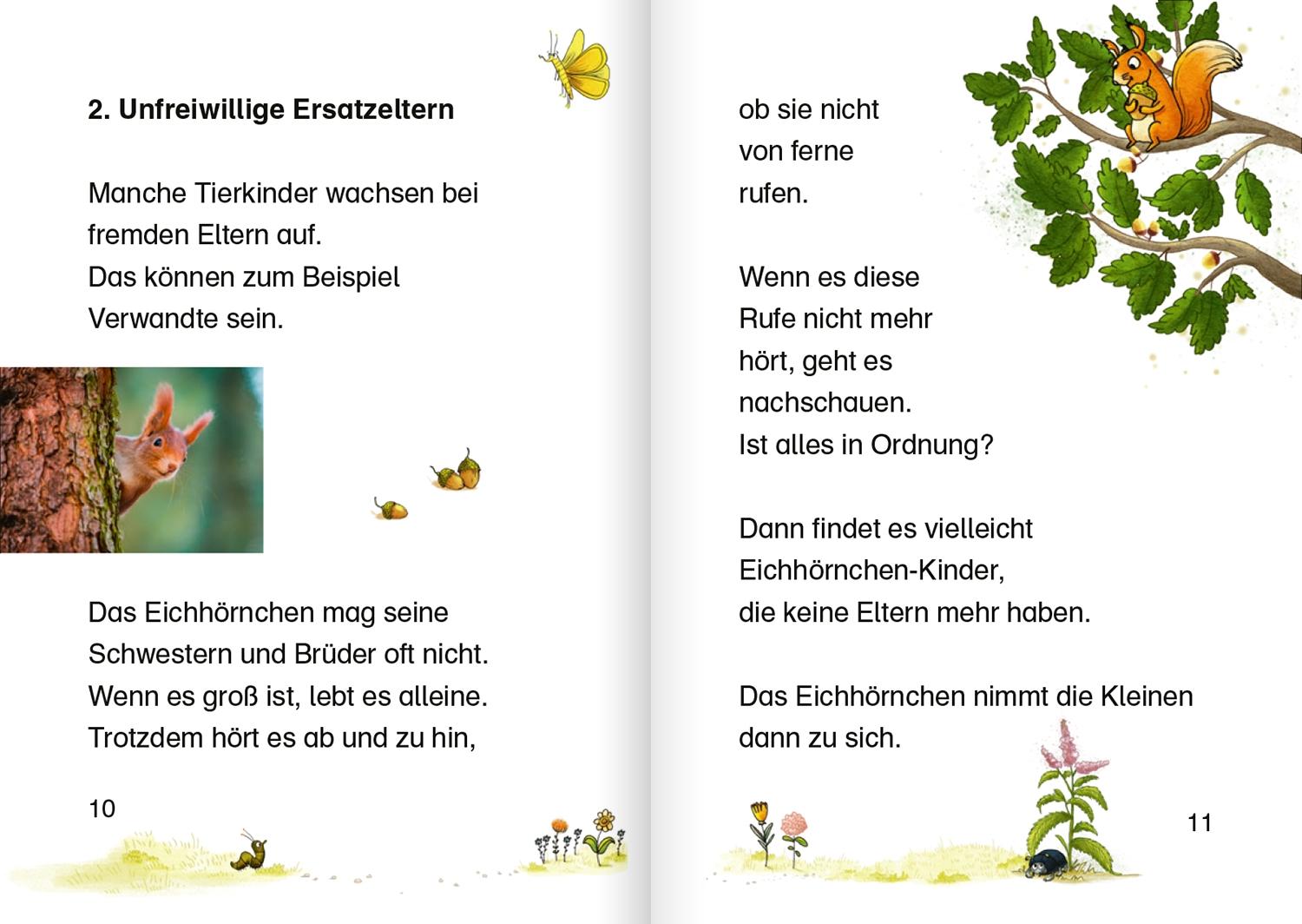 Beispielinhalt (Bild) Tierkinder im Wald