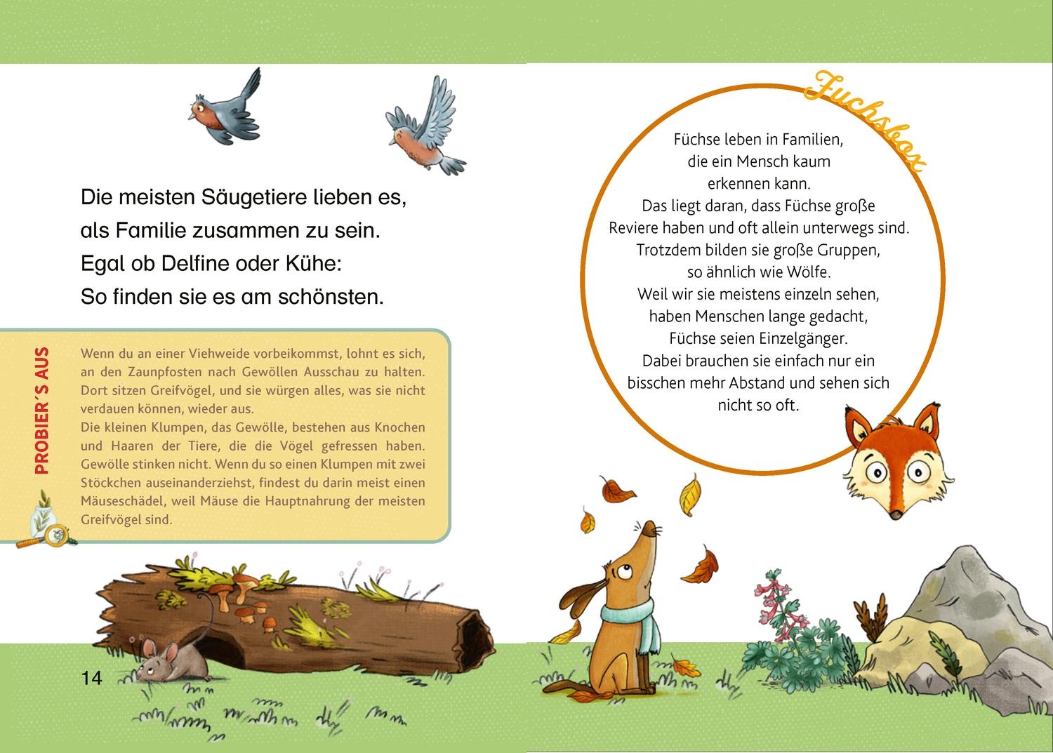Beispielinhalt (Bild) Tierkinder im Wald