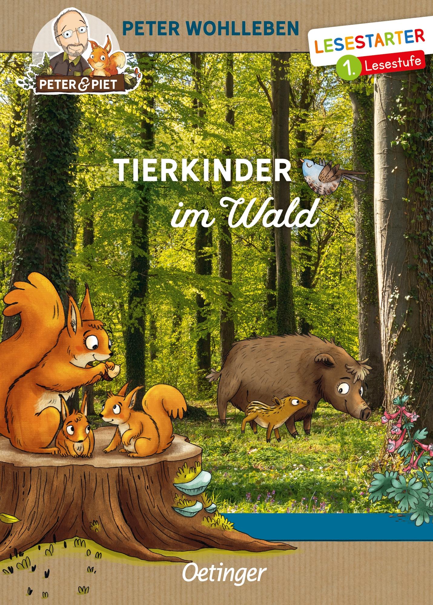 Vorderes Coverbild Tierkinder im Wald