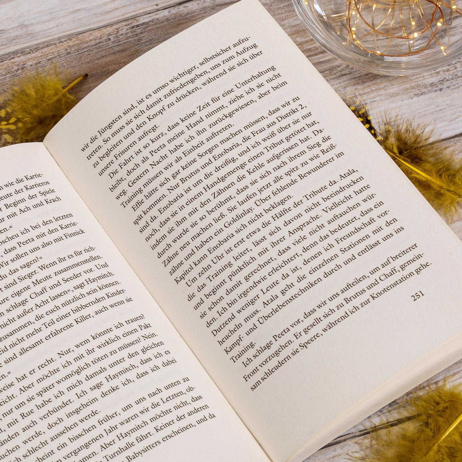 Beispielinhalt (Bild) Die Tribute von Panem 2. Gefährliche Liebe