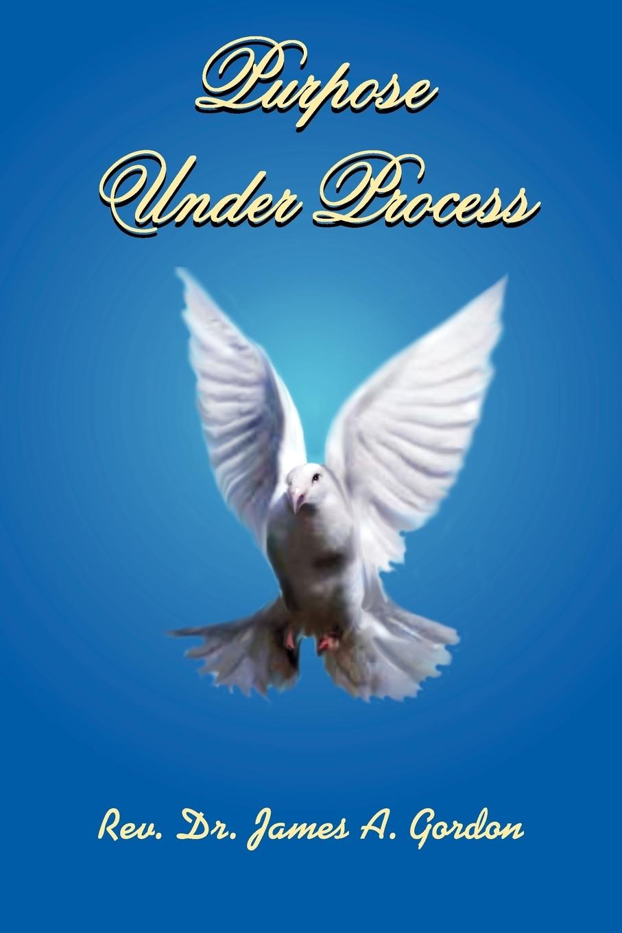 Vorderes Coverbild Purpose Under Process