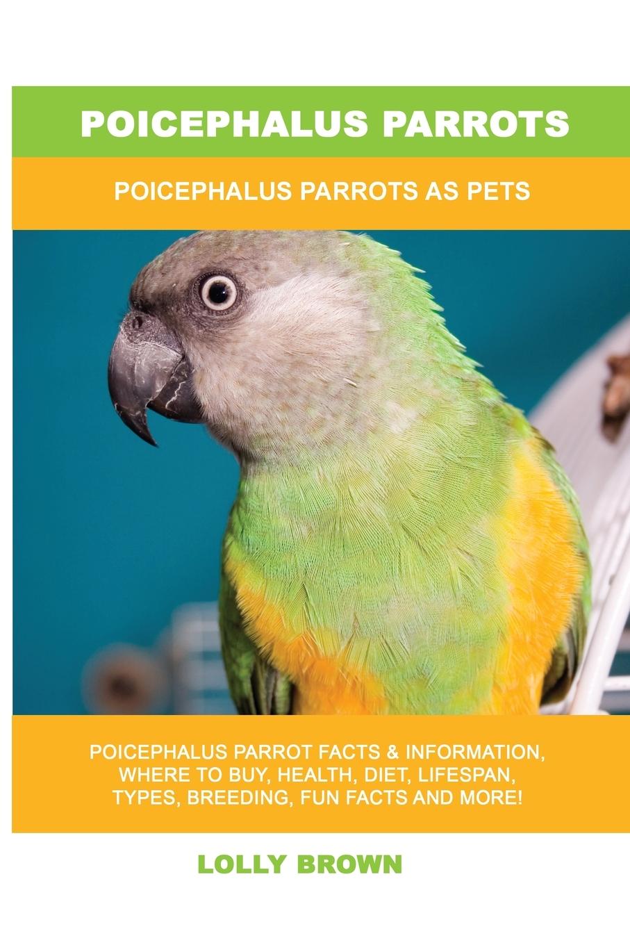 Vorderes Coverbild Poicephalus Parrots