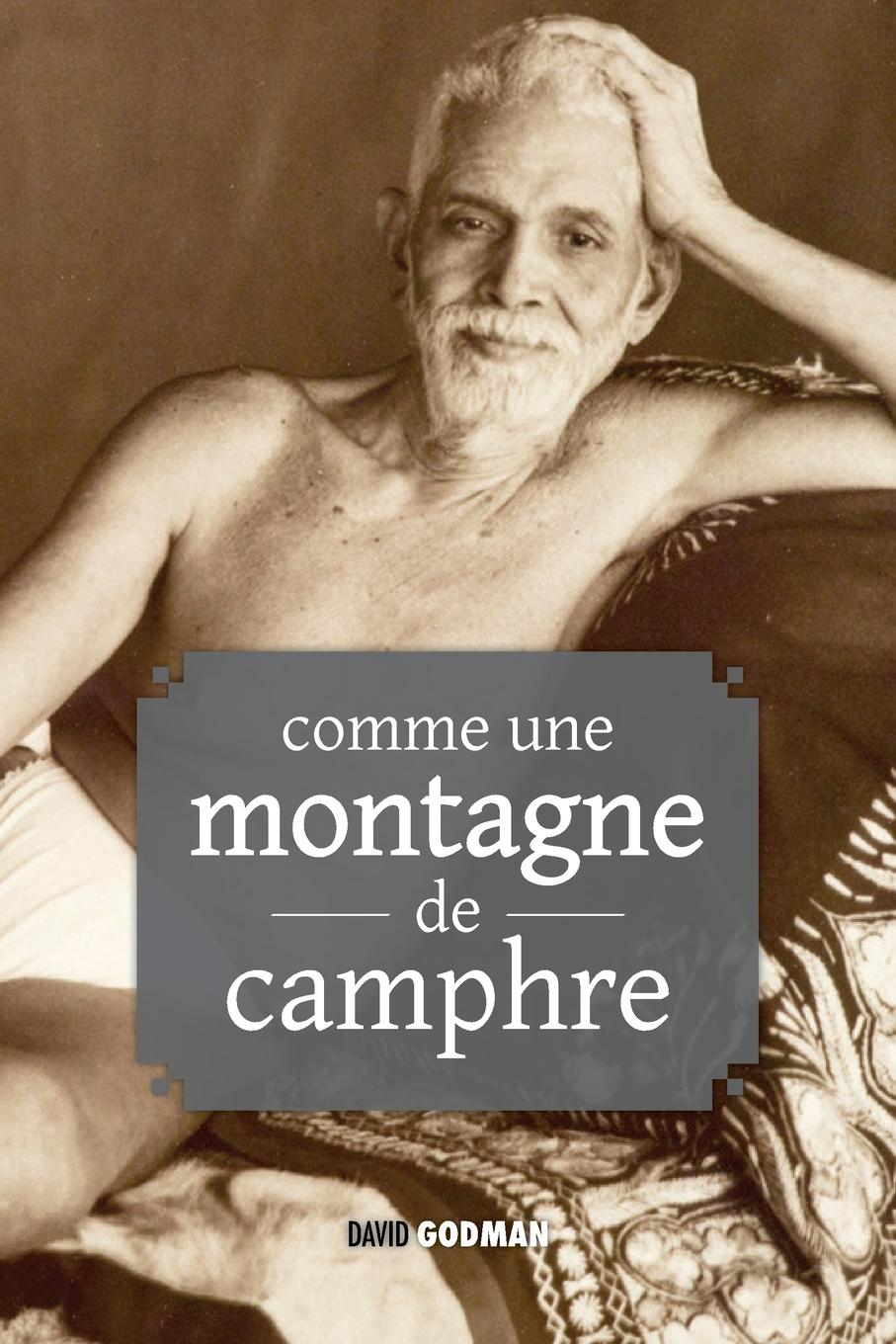 Vorderes Coverbild Comme une montagne de camphre
