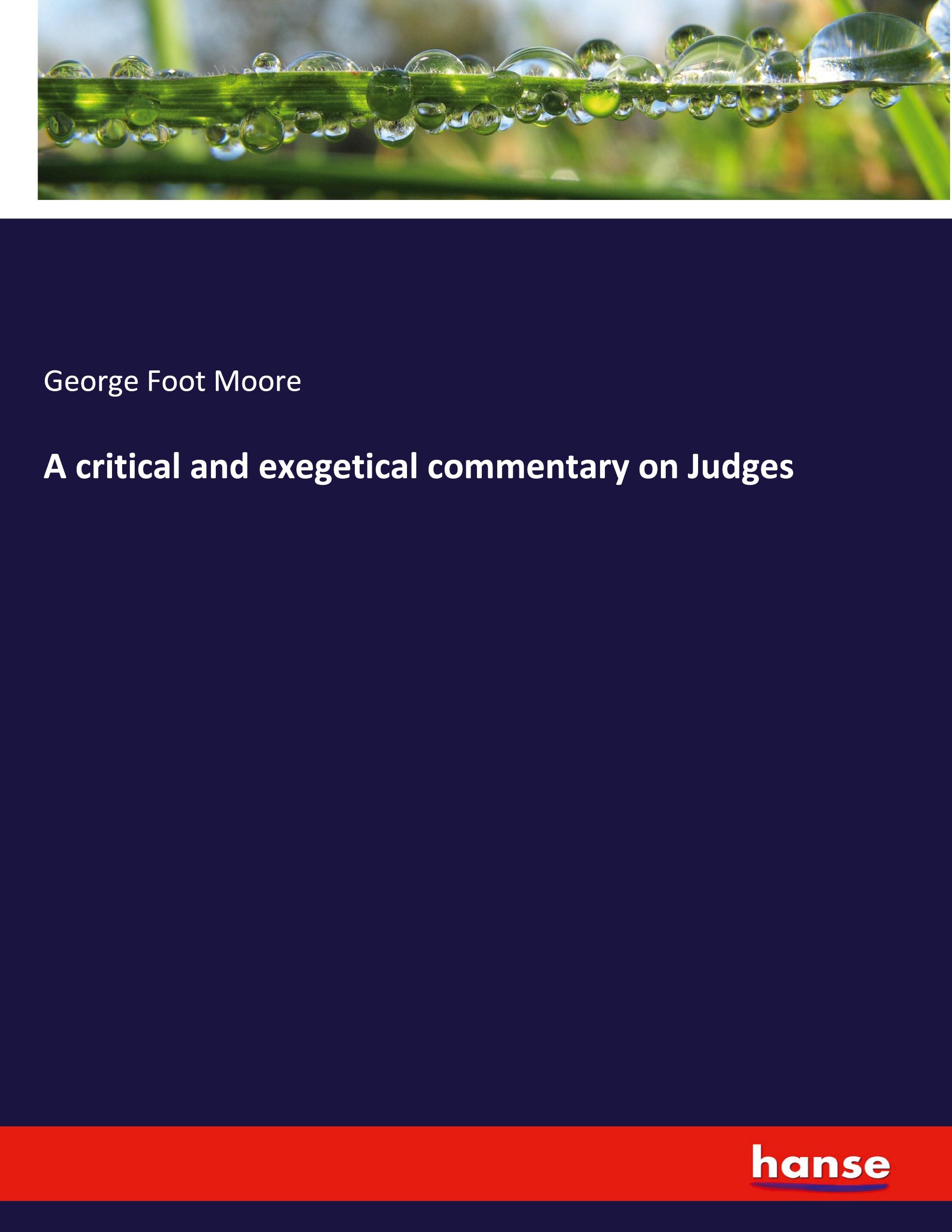 Vorderes Coverbild A critical and exegetical commentary on Judges
