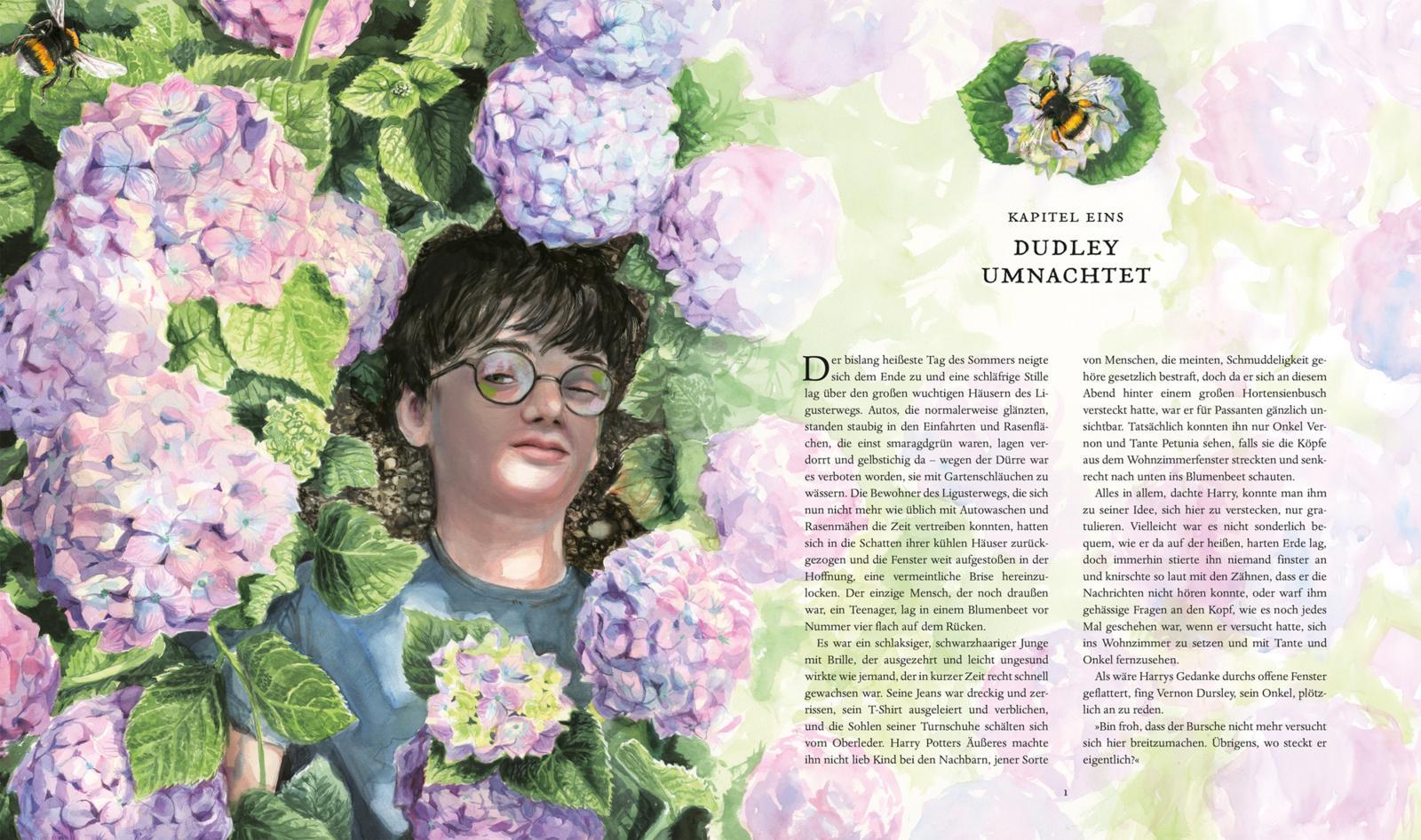 Beispielinhalt (Bild) Harry Potter und der Orden des Phönix  (Schmuckausgabe Harry Potter 5)