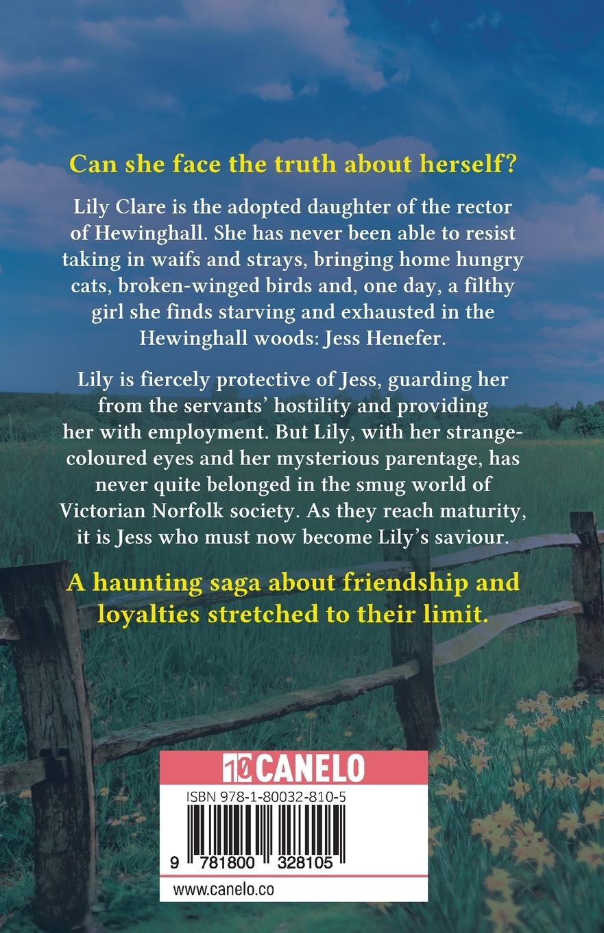 Rückseitencover A Child of Secrets