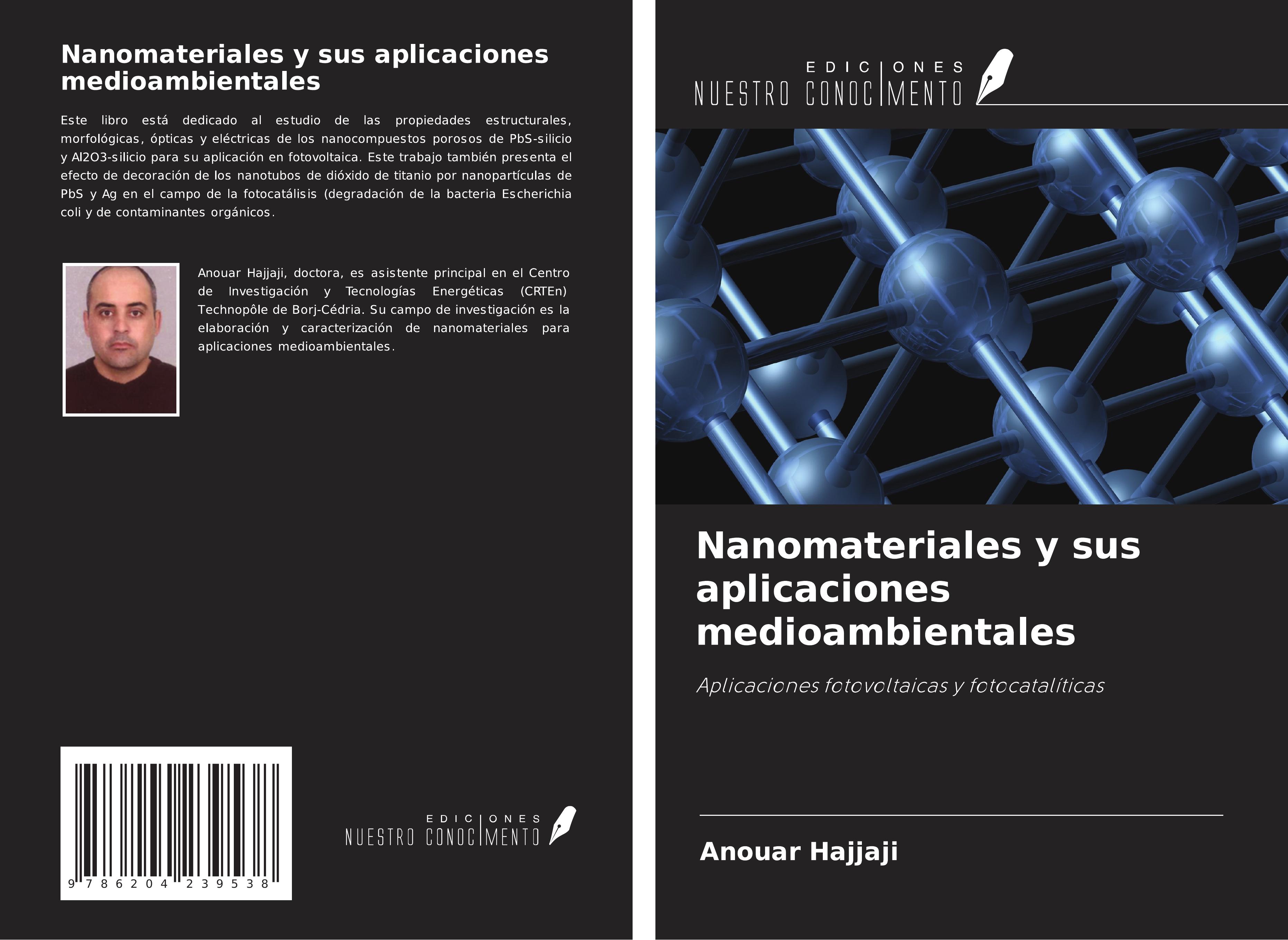 Vorderes Coverbild Nanomateriales y sus aplicaciones medioambientales