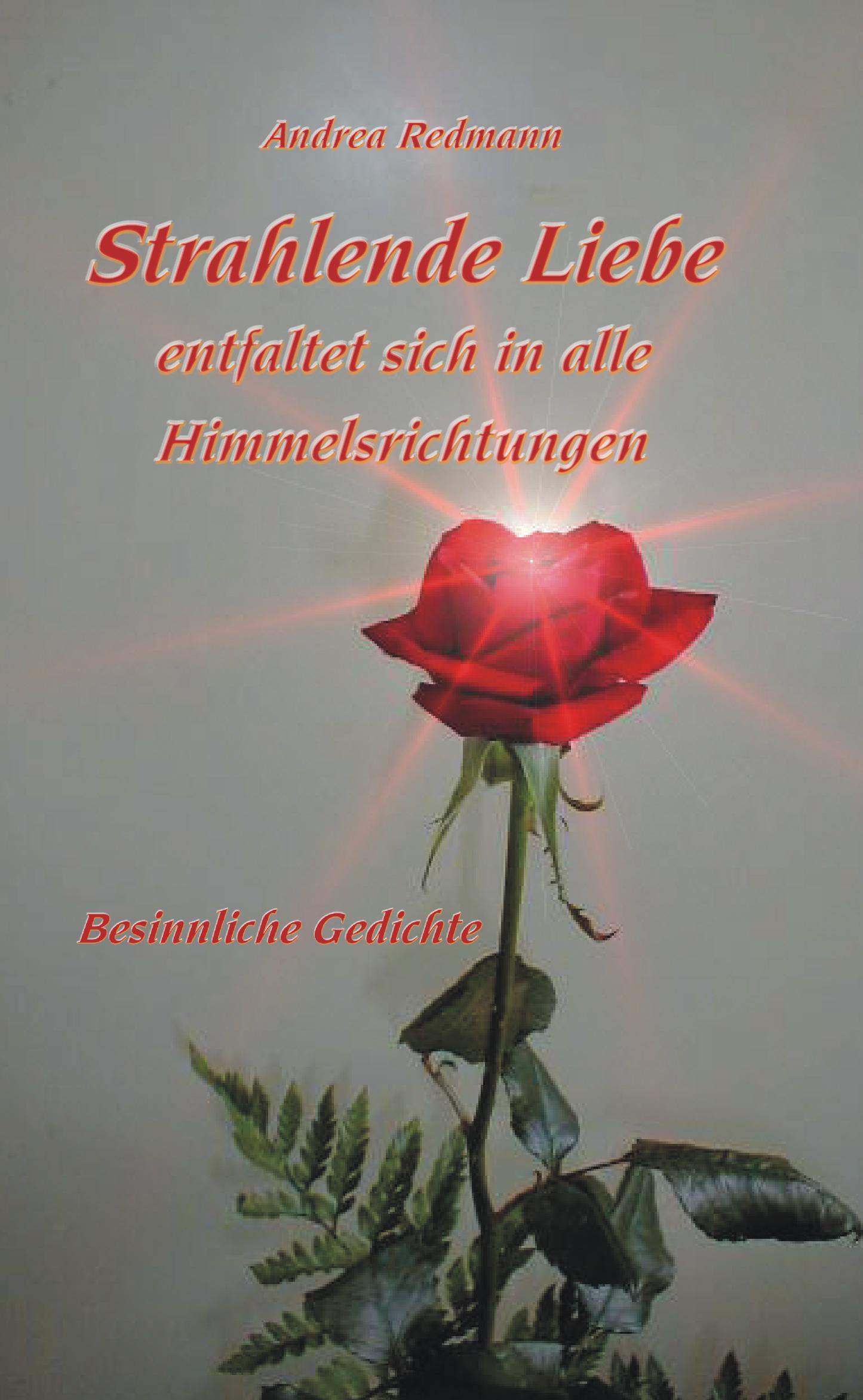 Vorderes Coverbild Strahlende Liebe entfaltet sich in alle Himmelsrichtungen