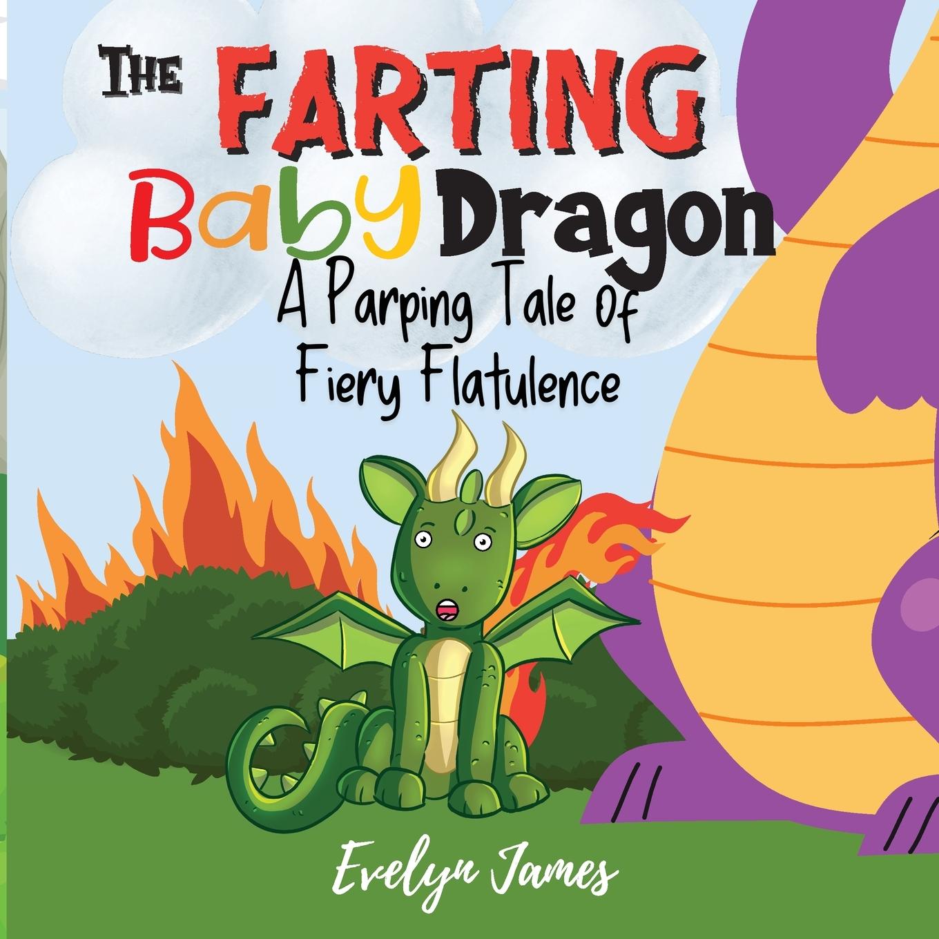 Vorderes Coverbild The Farting Baby Dragon