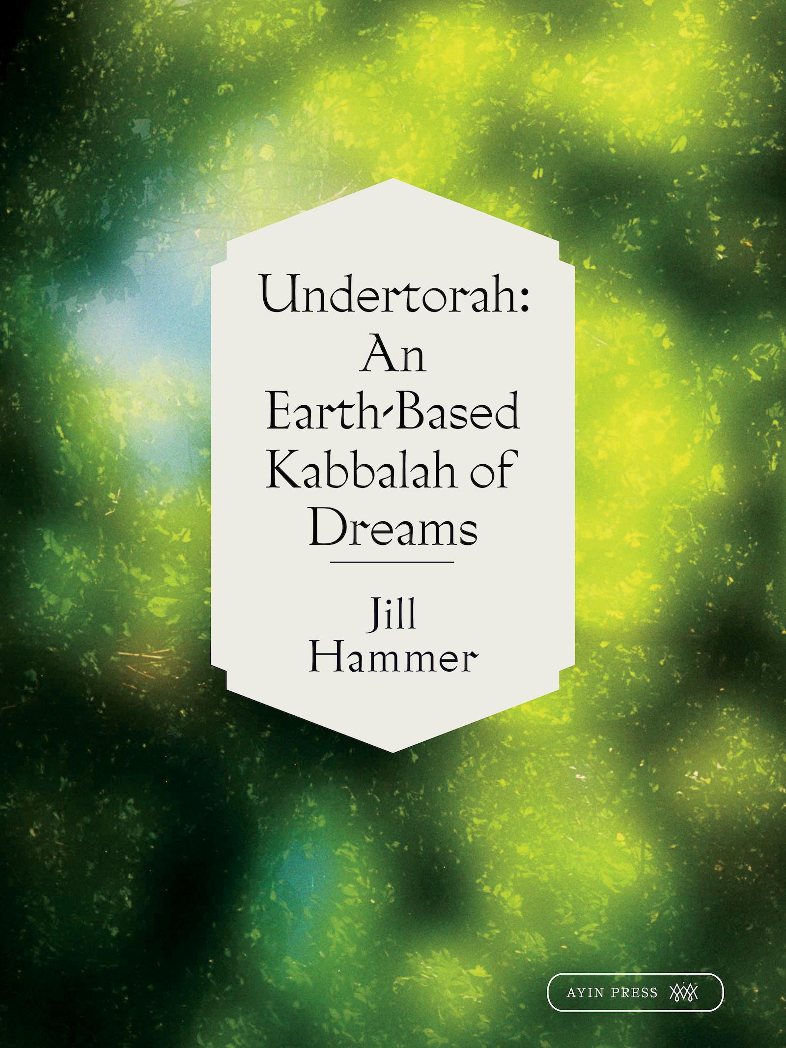 Vorderes Coverbild Undertorah
