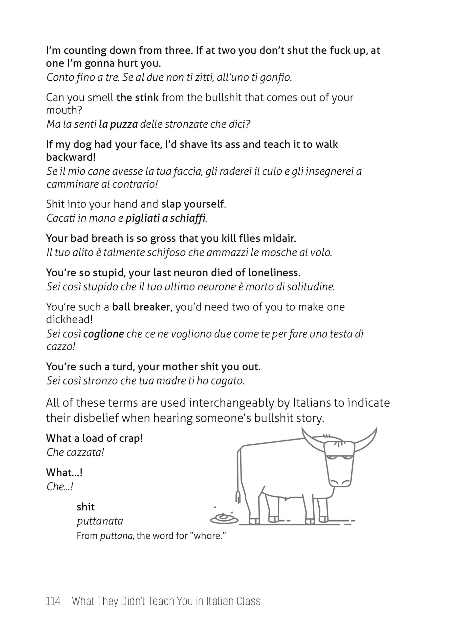 Beispielinhalt (Bild) What They Didn't Teach You in Italian Class