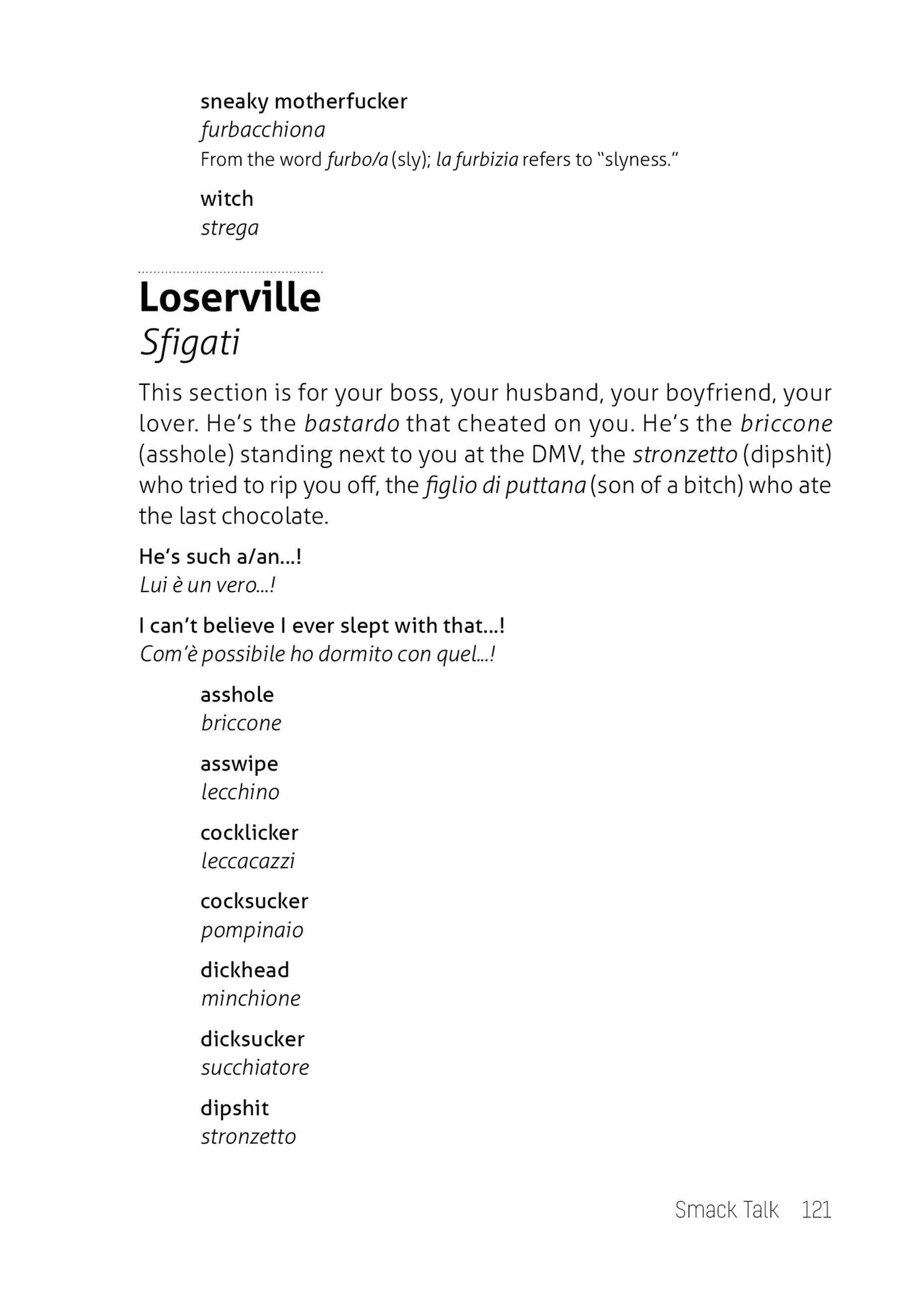 Beispielinhalt (Bild) What They Didn't Teach You in Italian Class