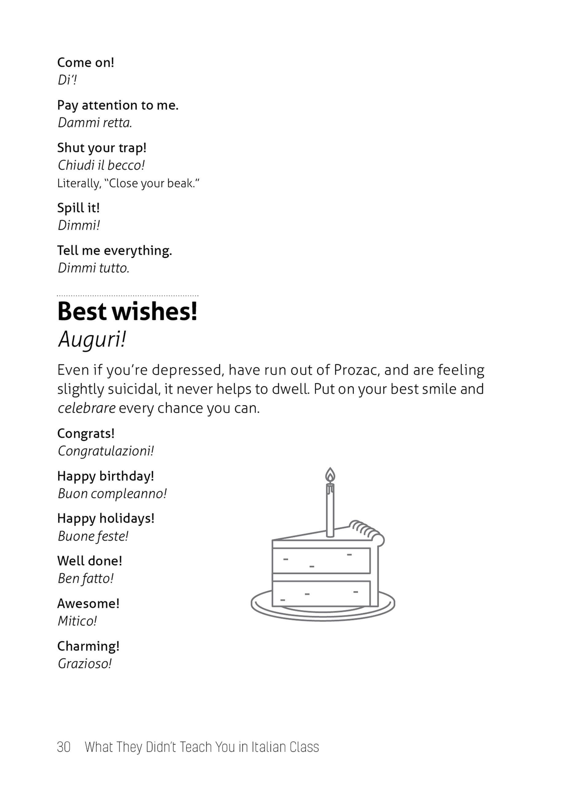 Beispielinhalt (Bild) What They Didn't Teach You in Italian Class