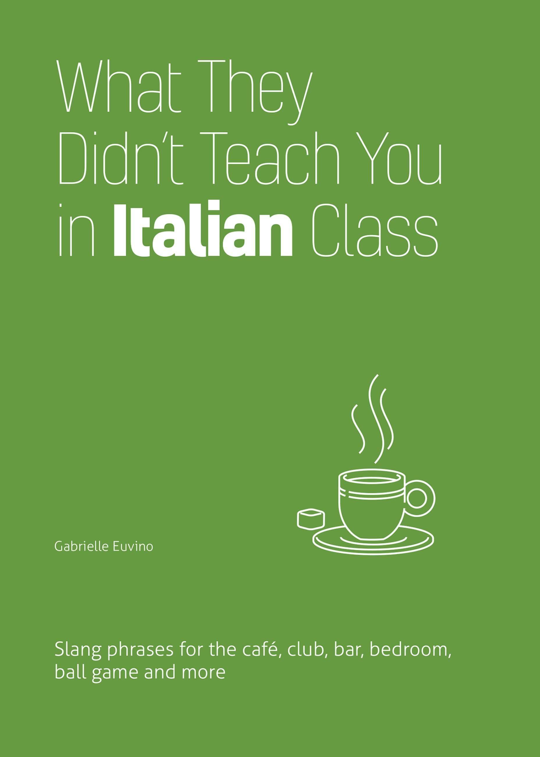 Vorderes Coverbild What They Didn't Teach You in Italian Class