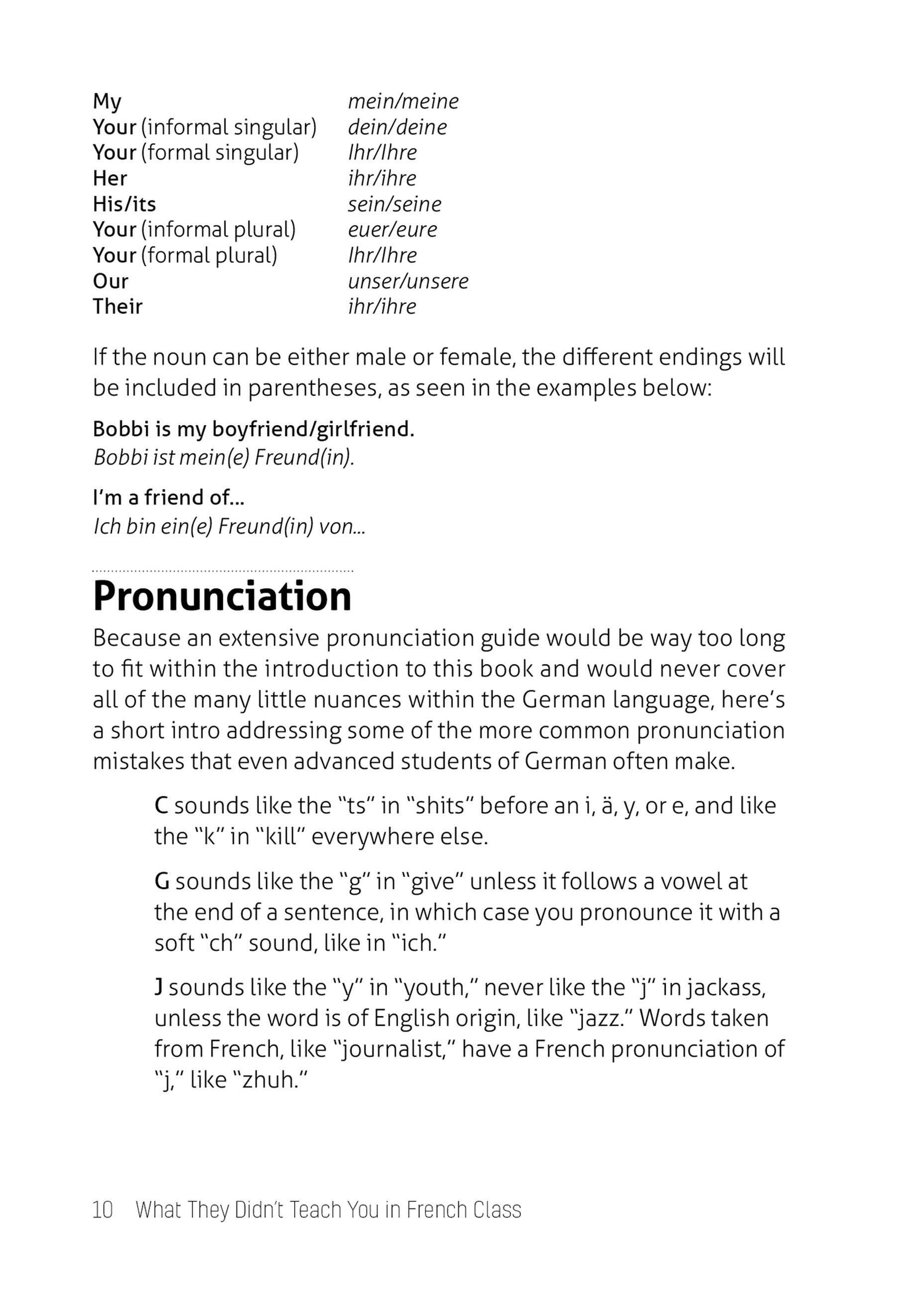 Beispielinhalt (Bild) What They Didn't Teach You in German Class