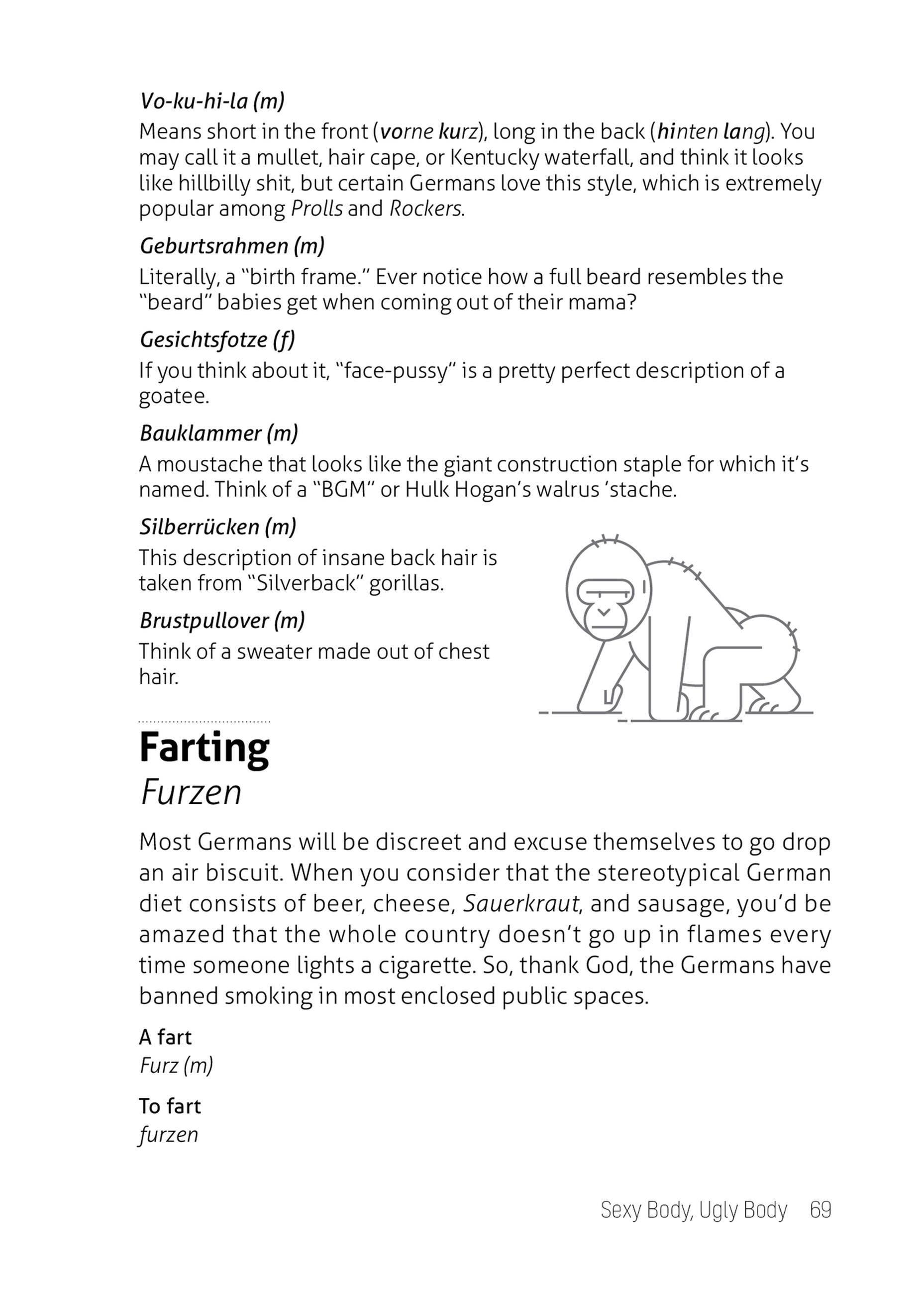 Beispielinhalt (Bild) What They Didn't Teach You in German Class