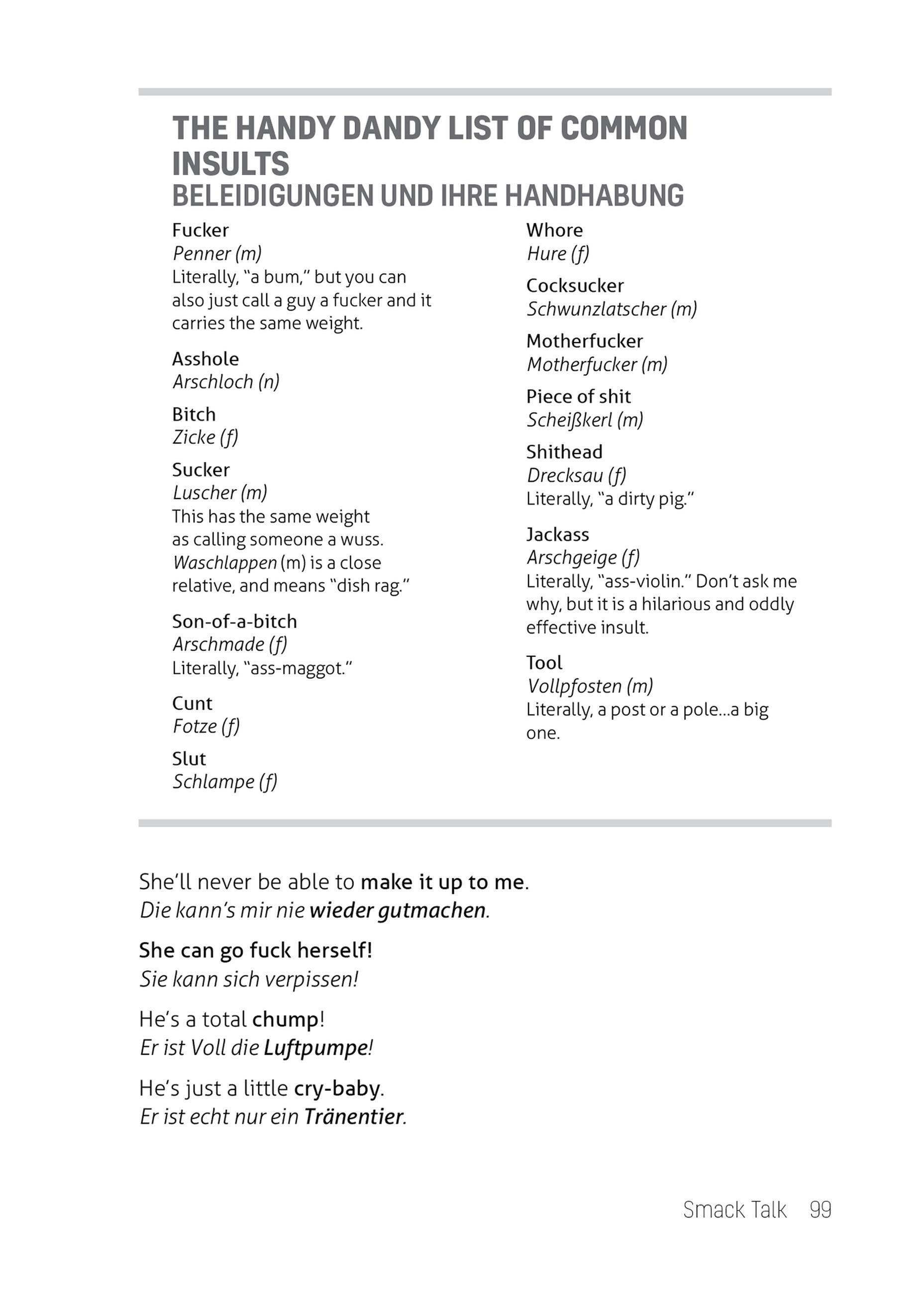 Beispielinhalt (Bild) What They Didn't Teach You in German Class