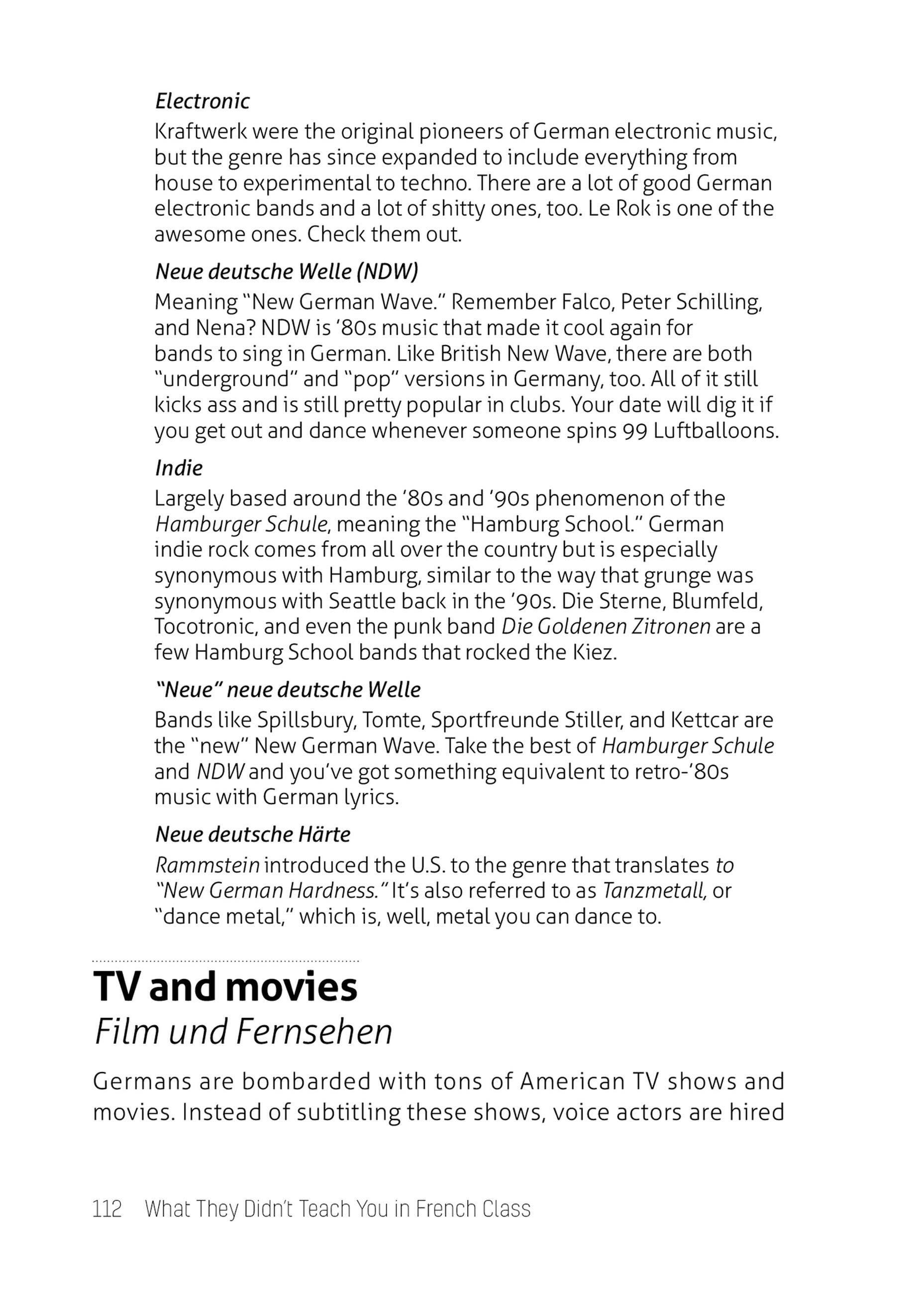 Beispielinhalt (Bild) What They Didn't Teach You in German Class