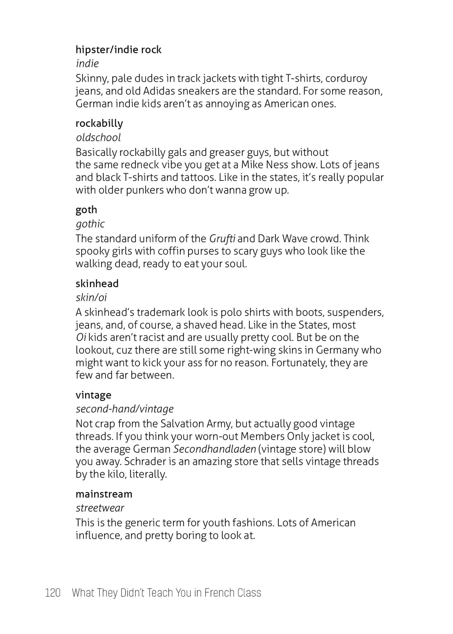 Beispielinhalt (Bild) What They Didn't Teach You in German Class