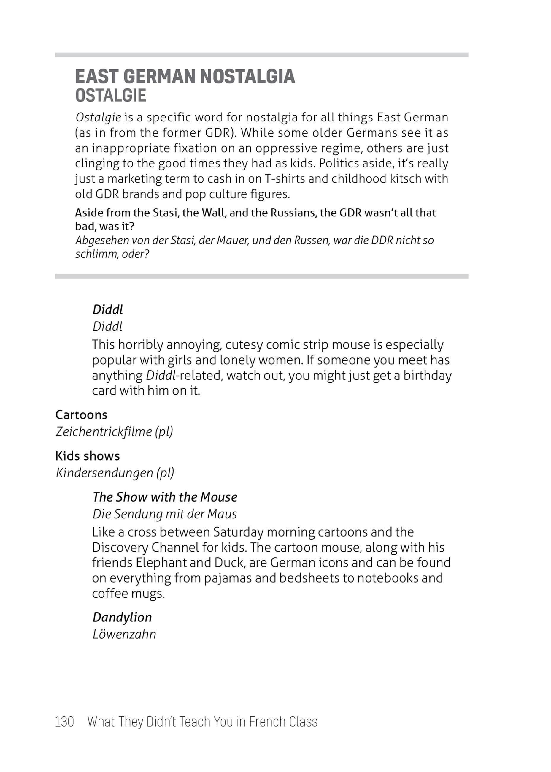 Beispielinhalt (Bild) What They Didn't Teach You in German Class