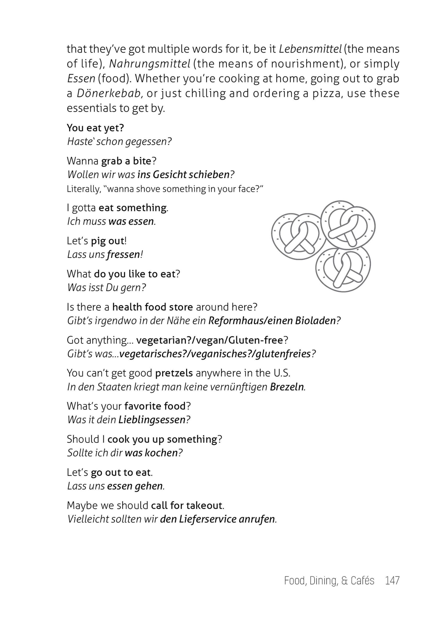 Beispielinhalt (Bild) What They Didn't Teach You in German Class