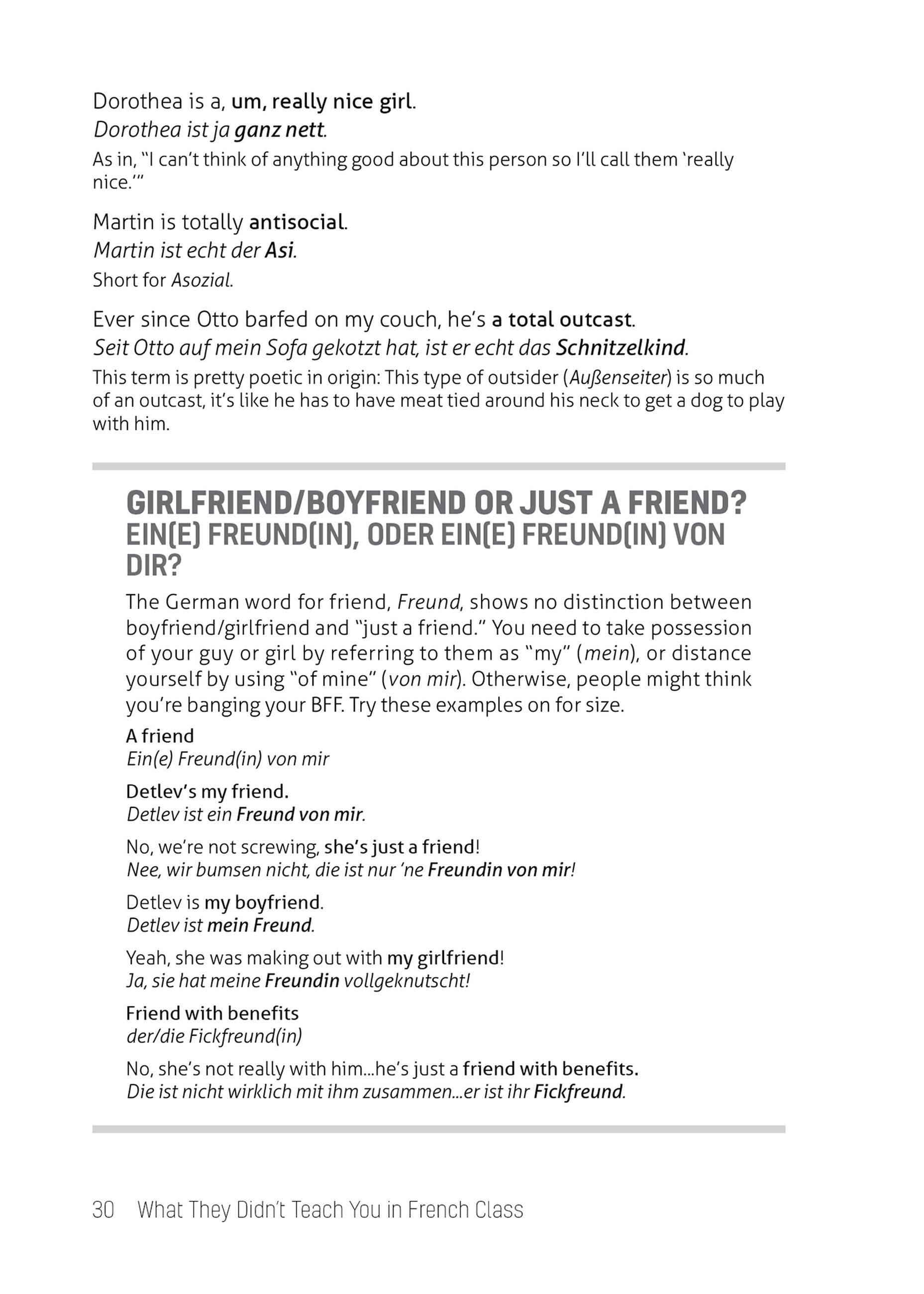 Beispielinhalt (Bild) What They Didn't Teach You in German Class