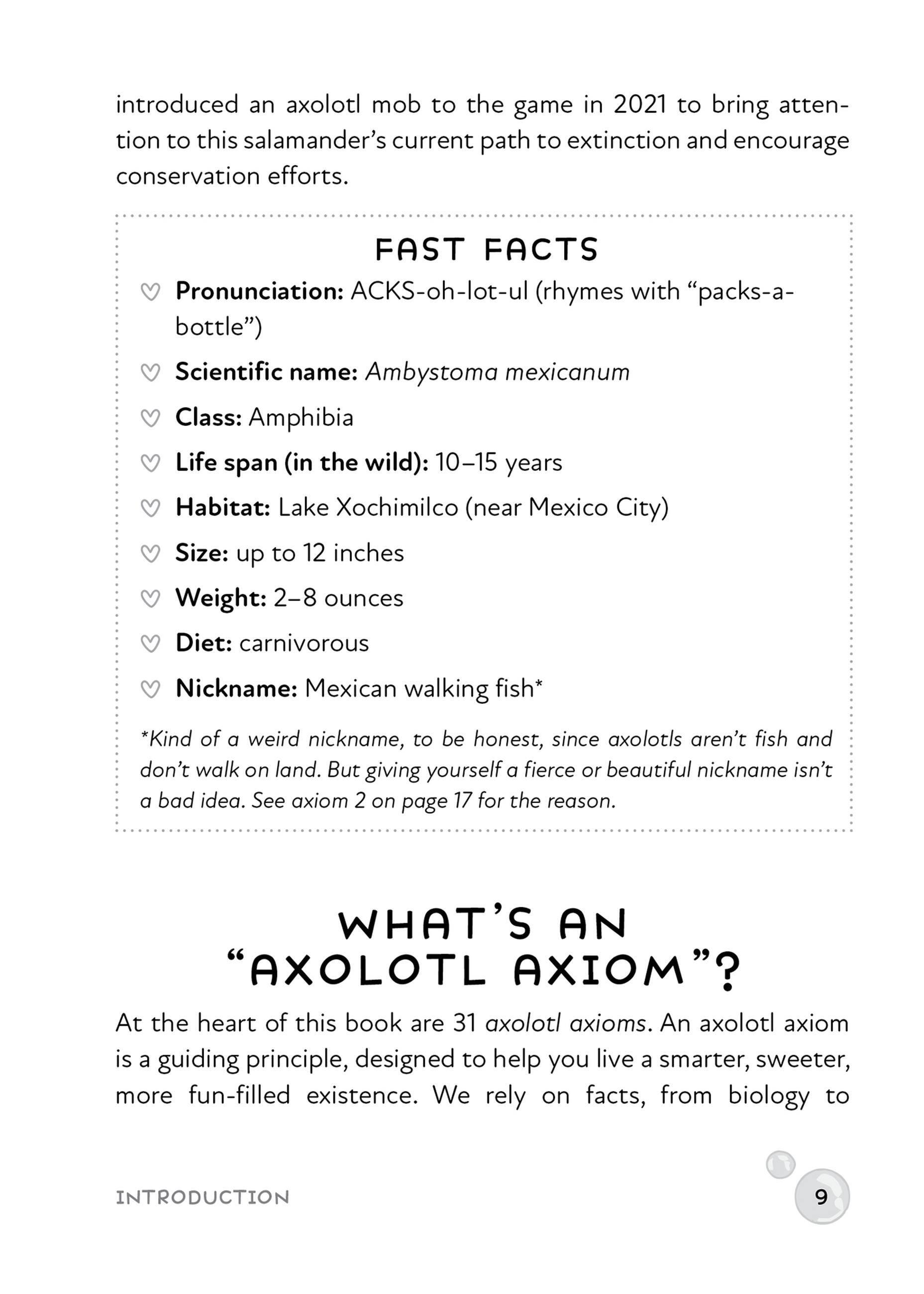 Beispielinhalt (Bild) Little Book of Axolotl Wisdom