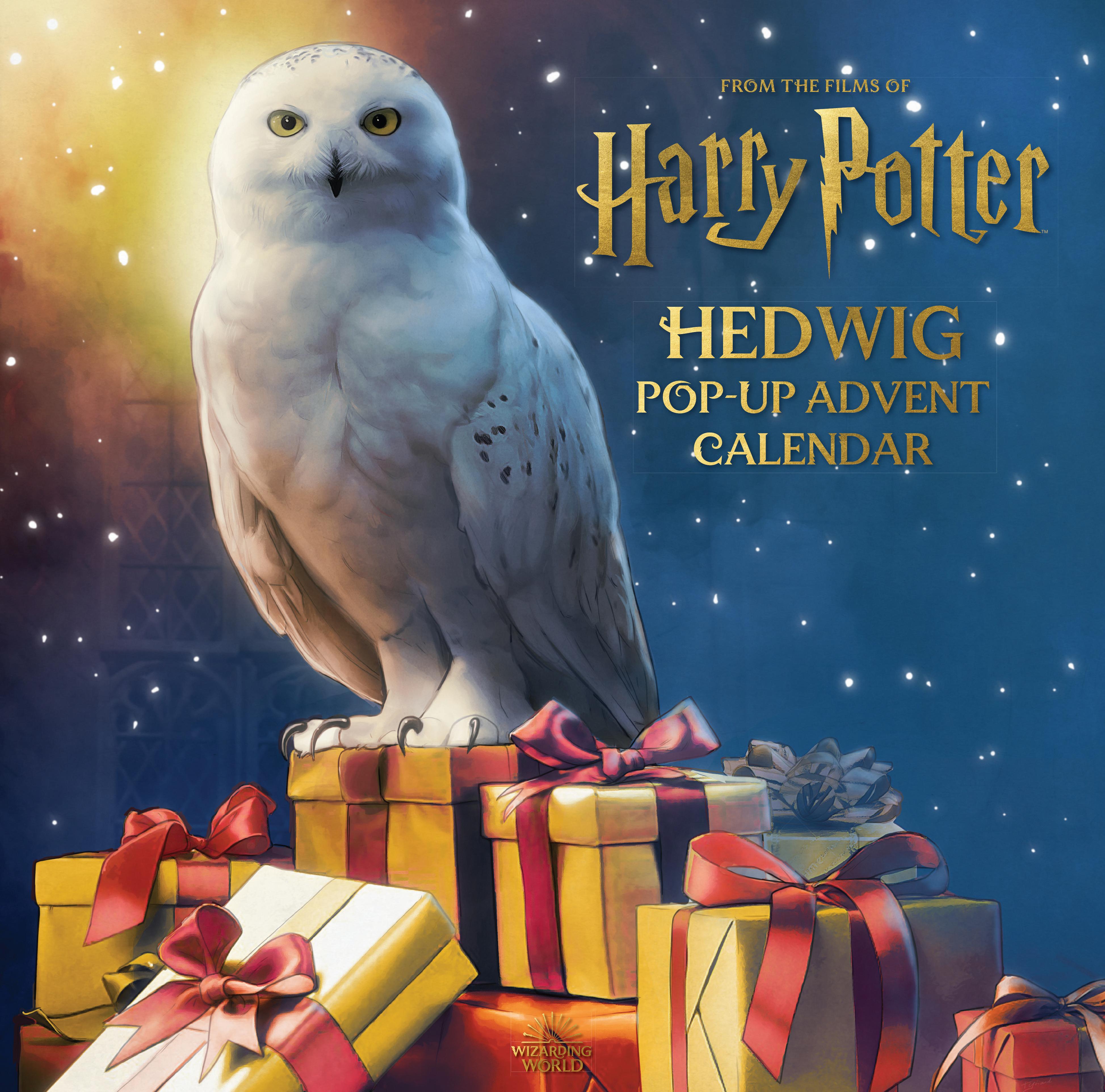 Vorderes Coverbild Harry Potter: Hedwig Pop-Up Advent Calendar