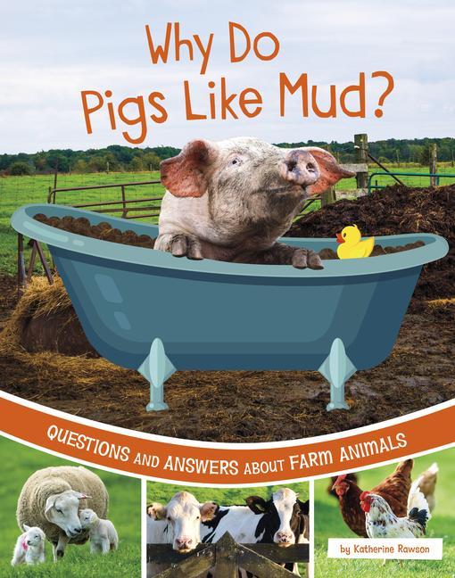 Vorderes Coverbild Why Do Pigs Like Mud?