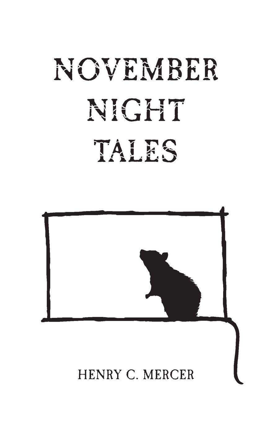 Vorderes Coverbild November Night Tales