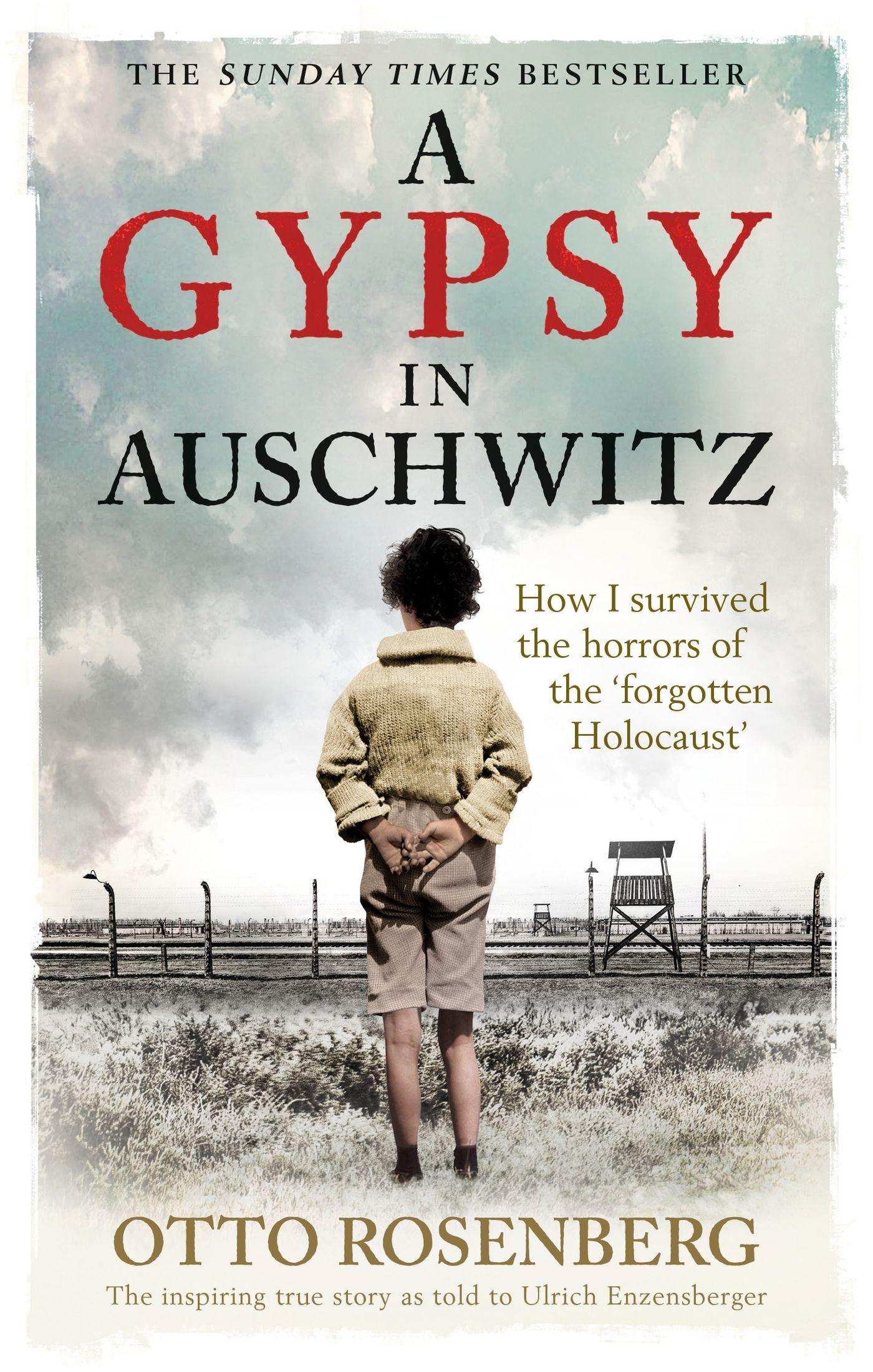 Vorderes Coverbild A Gypsy in Auschwitz