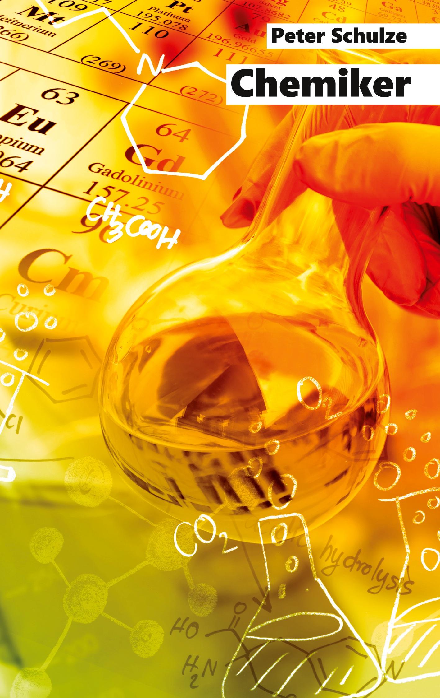 Vorderes Coverbild Chemiker