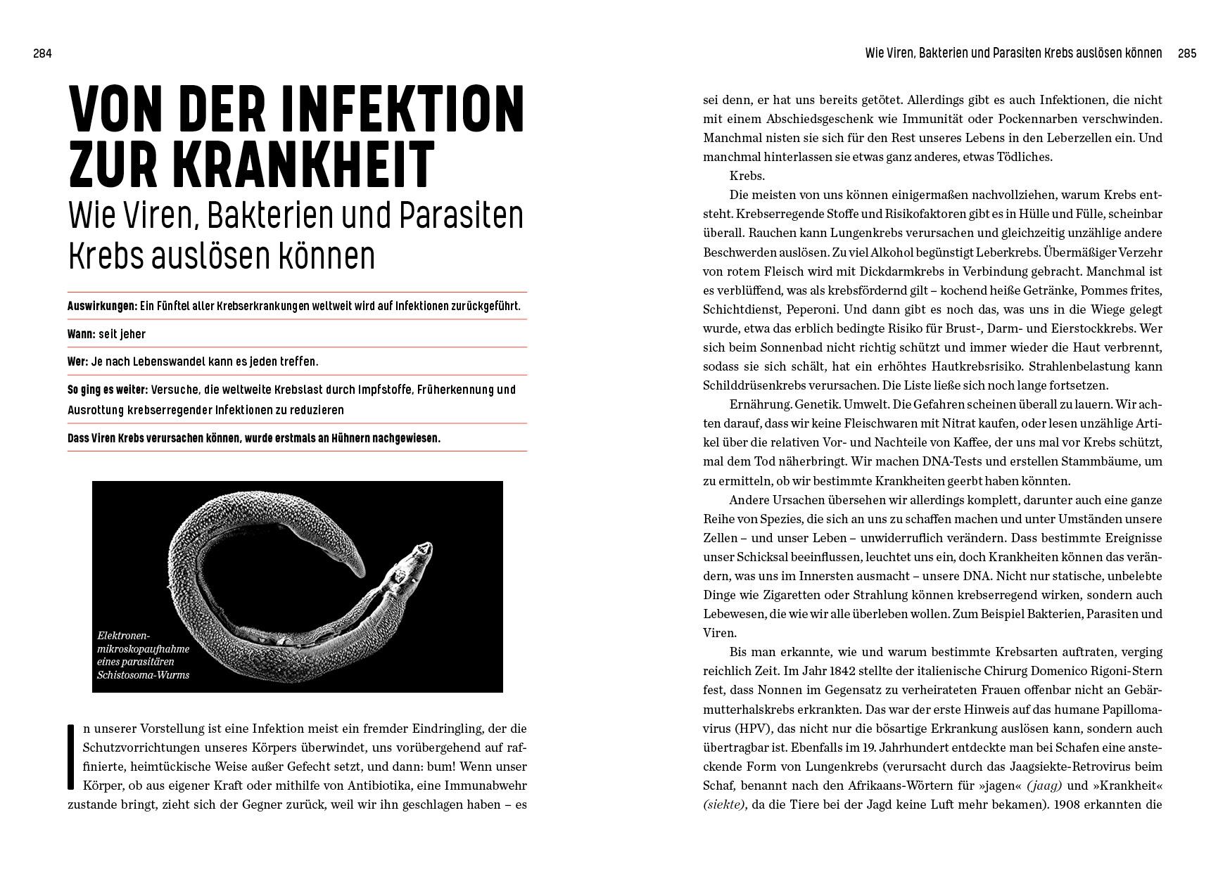 Beispielinhalt (Bild) Patient Zero