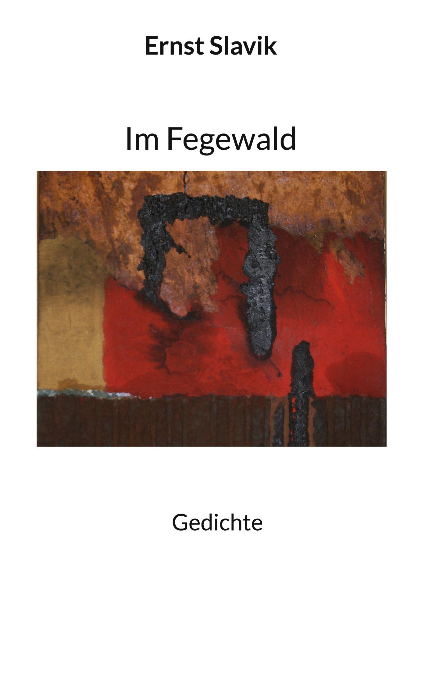 Vorderes Coverbild Im Fegewald