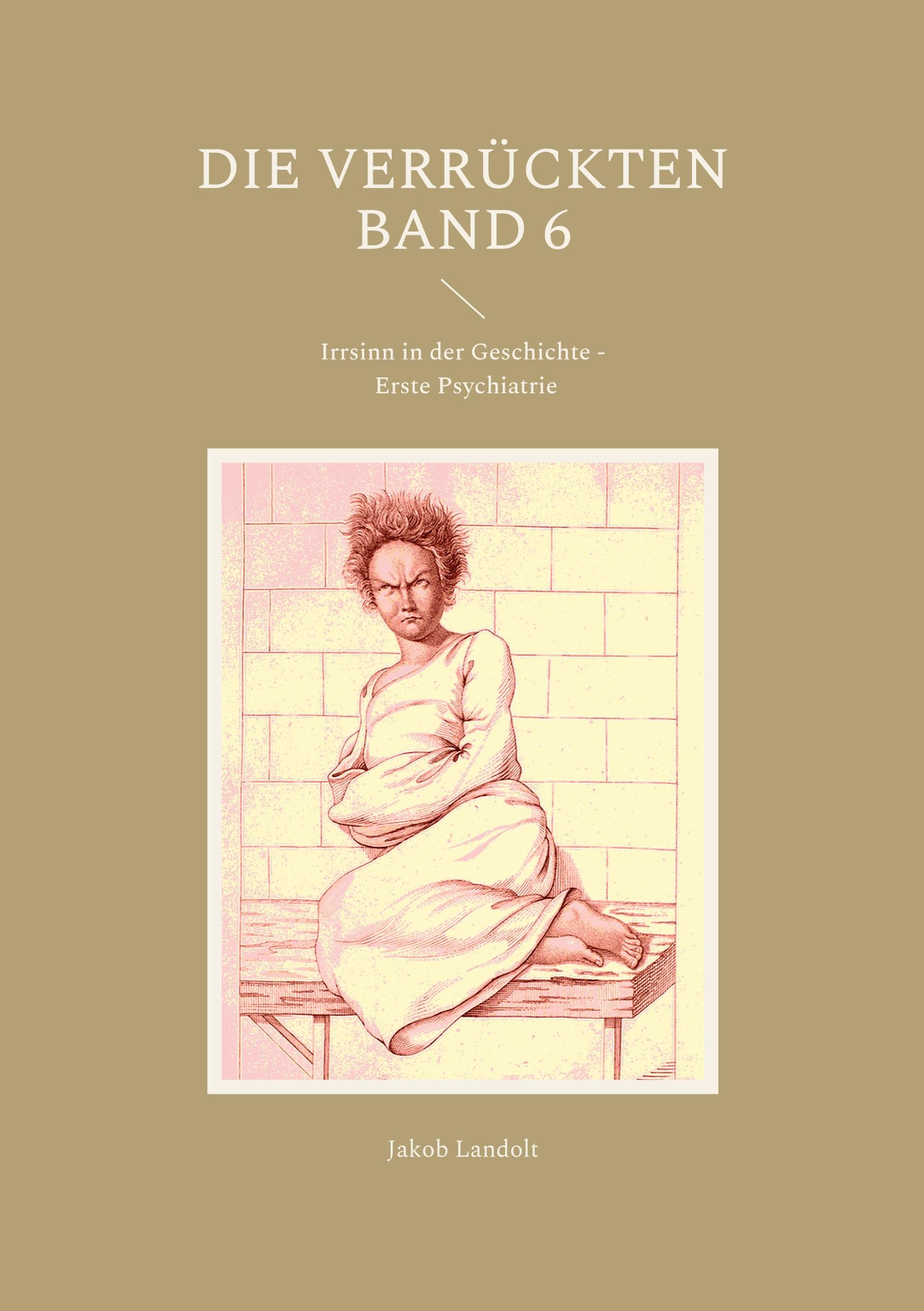Vorderes Coverbild Die Verrückten Band 6