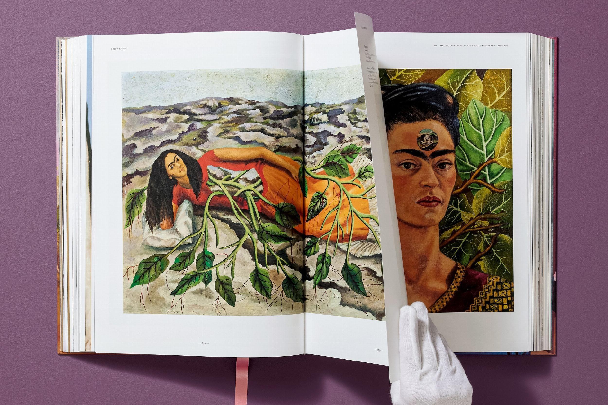 Beispielinhalt (Bild) Frida Kahlo. The Complete Paintings