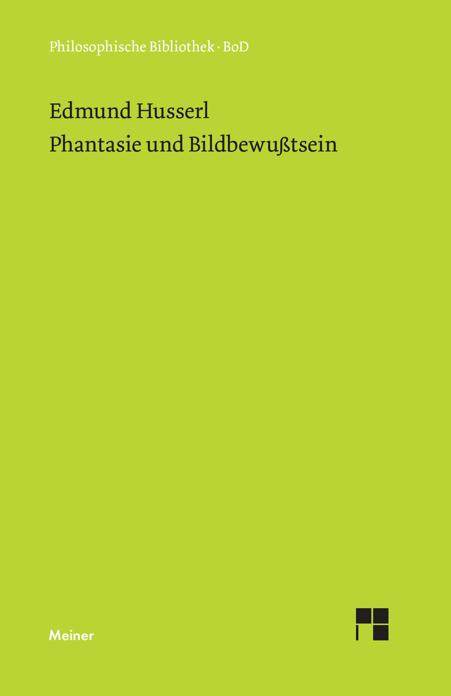 Vorderes Coverbild Phantasie und Bildbewußtsein